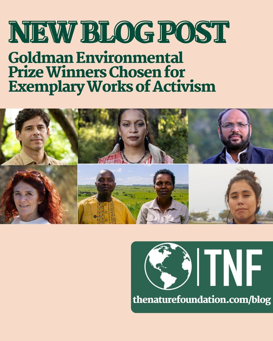 🚨NEW BLOG POST🚨

The Goldman Environmental Prize has been awarded to six different projects around the world for their success in immensely helping the planet. 

This group of people have collectively stopped harmful coal mines, set regulations for