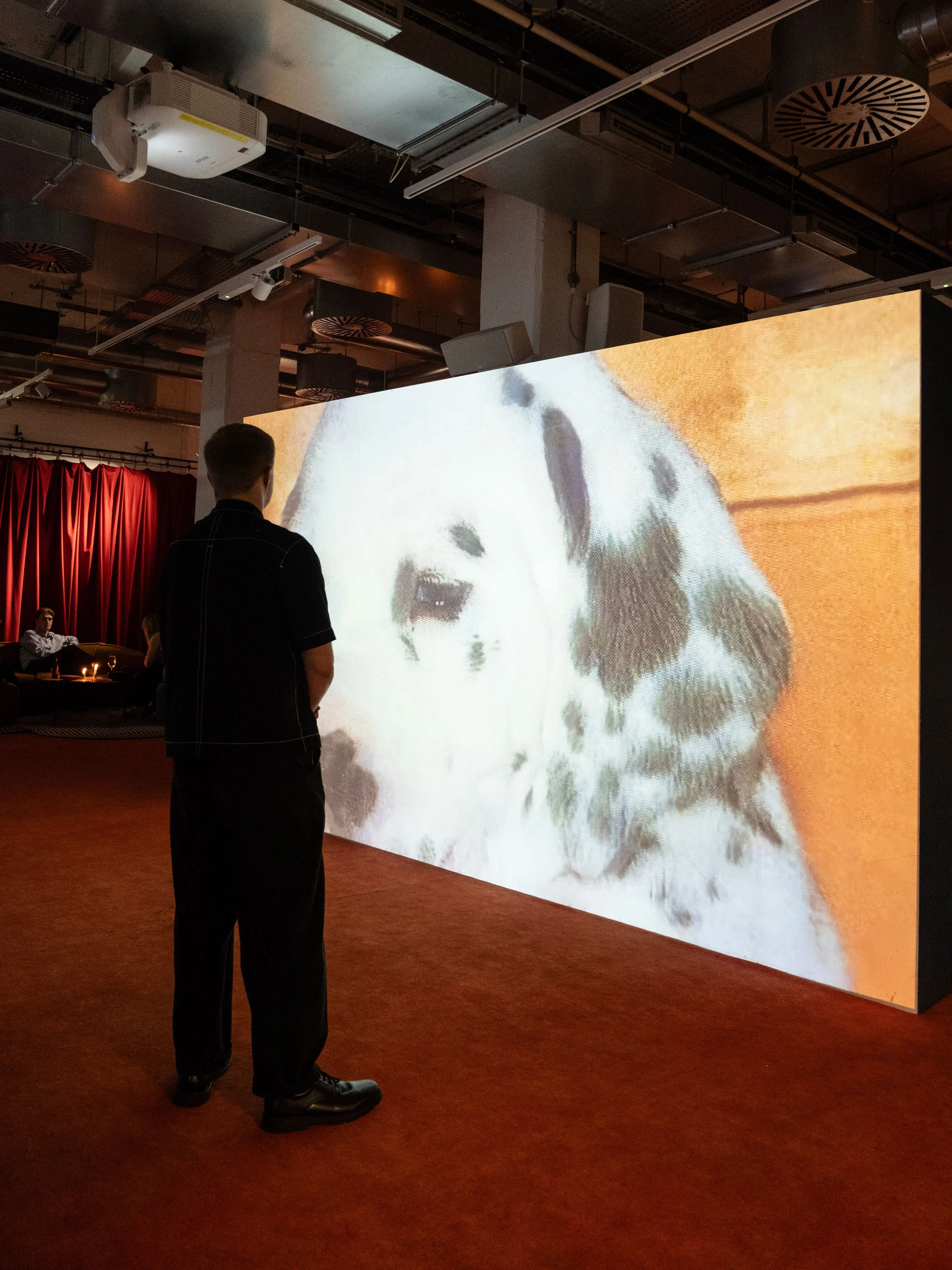 9.-Duncan-Poulton-install-view-at-Shoreditch-Arts-Club,-London,-2026.-Photo-by-Chieh-Lin-Wu_5.jpg