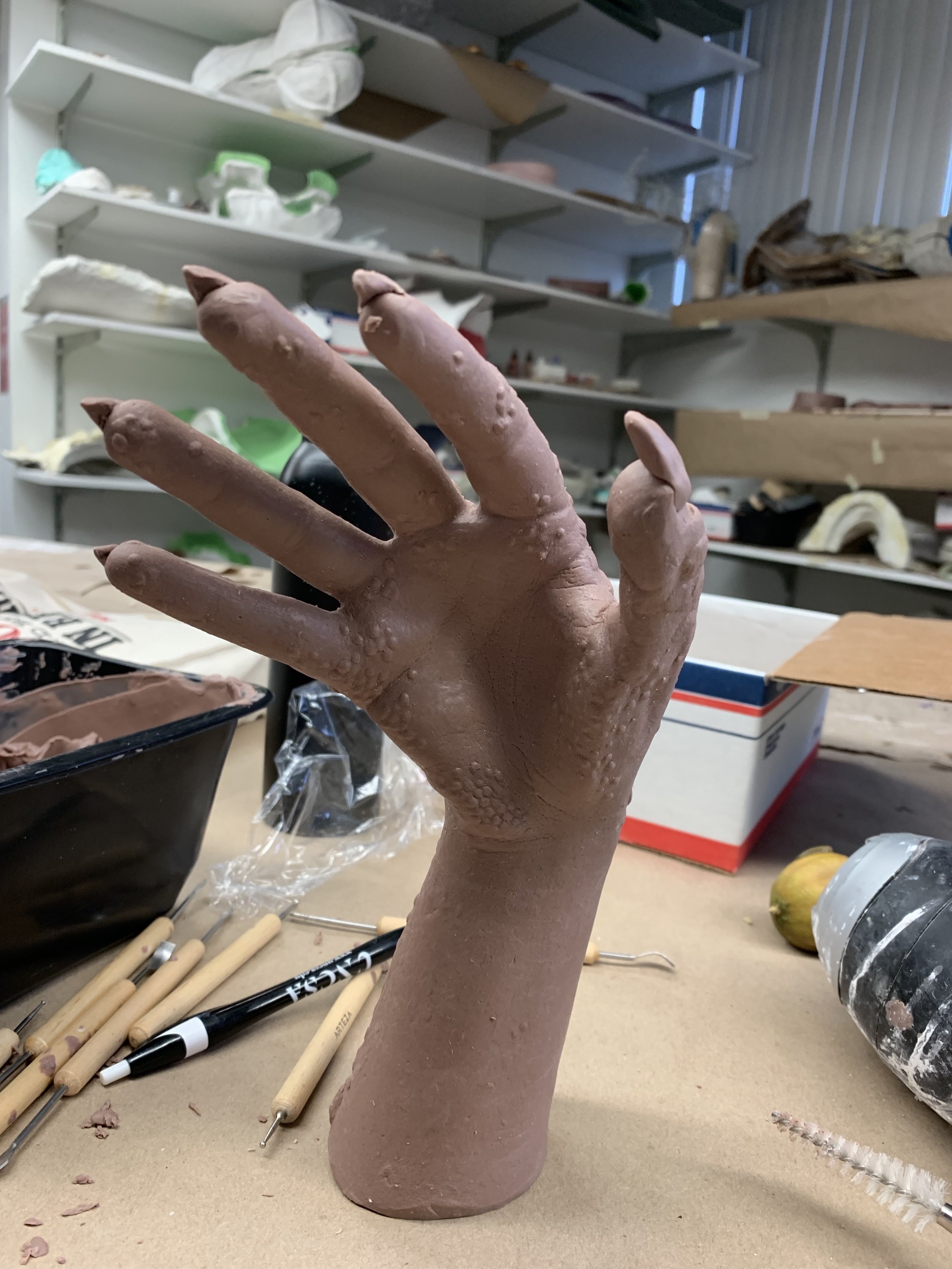 Reptile Hand Sculpt by Nova Cunningham