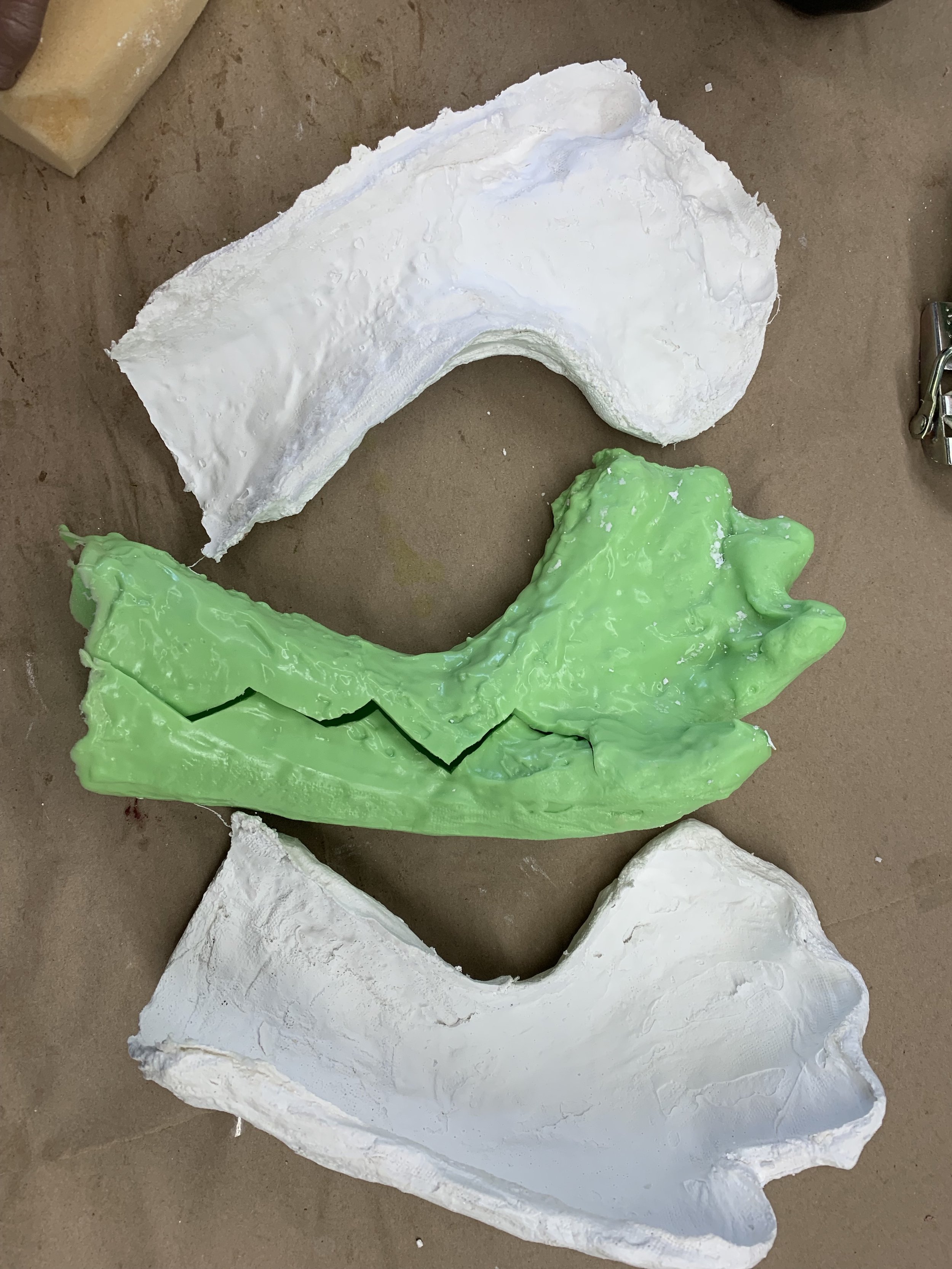 Silicone and Plaster Cast of a Hand by Nova Cunningham