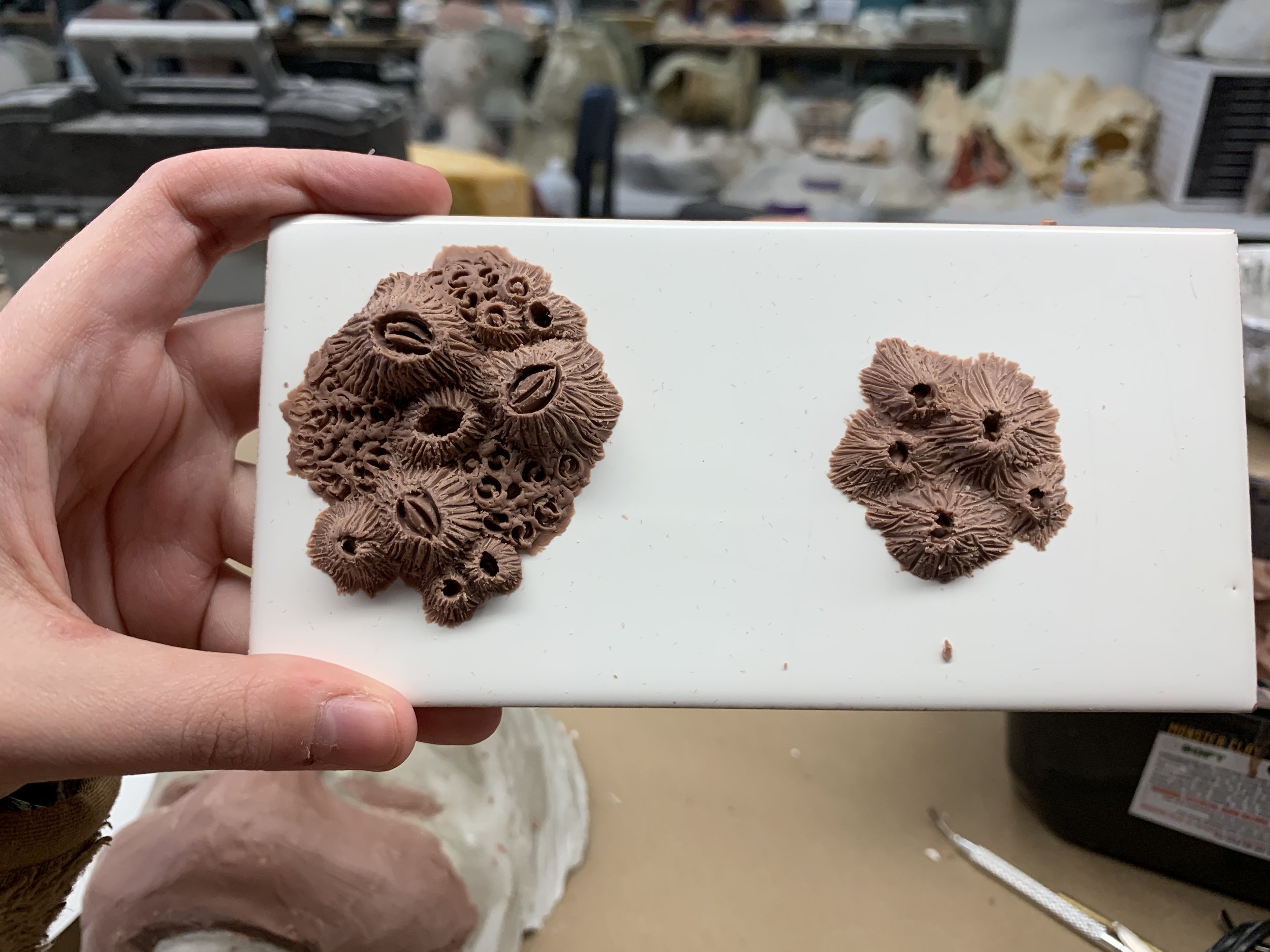Barnacle Sculpts by Nova Cunningham