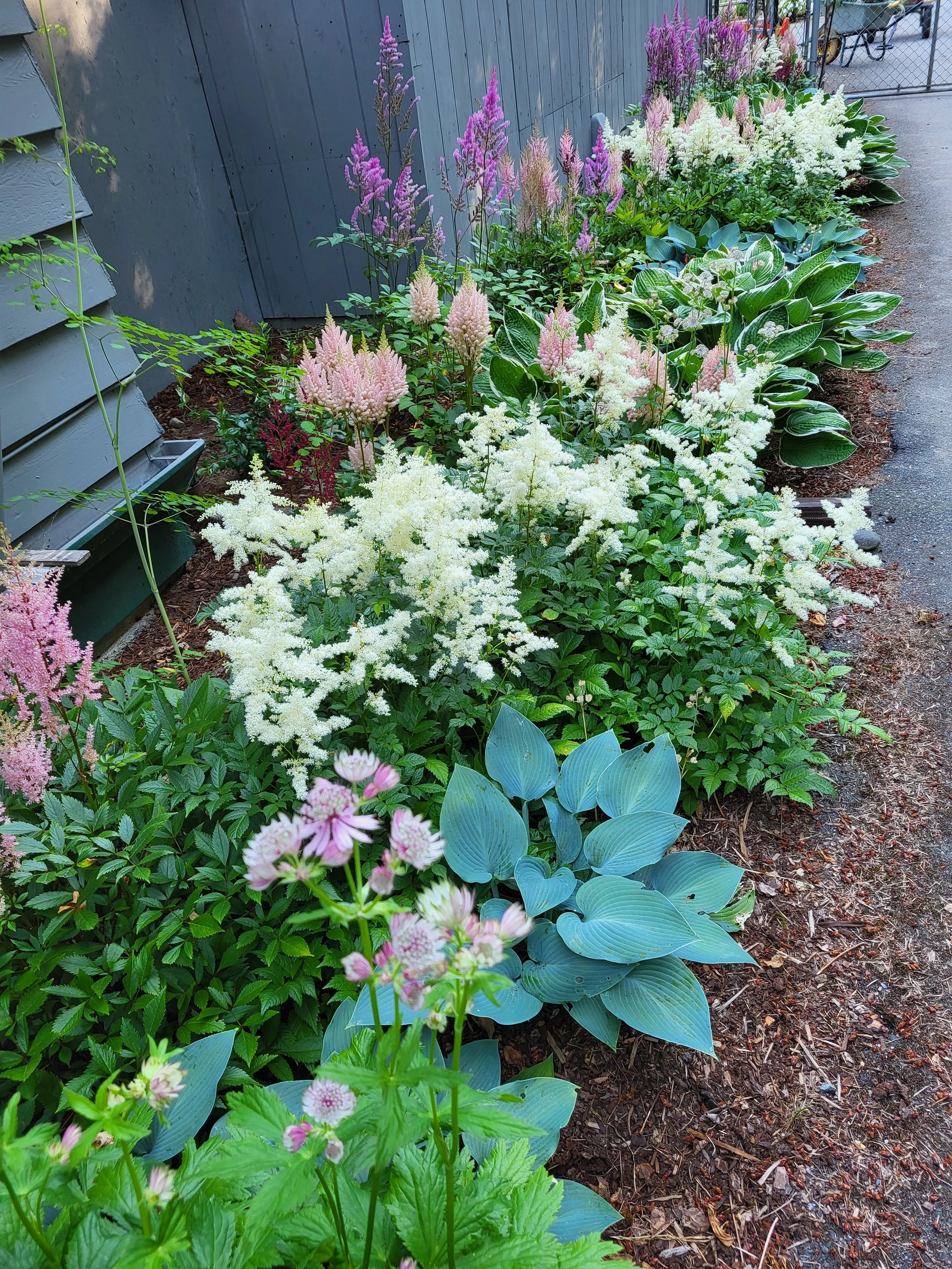 Entrance flowers at Sea Dog Farm