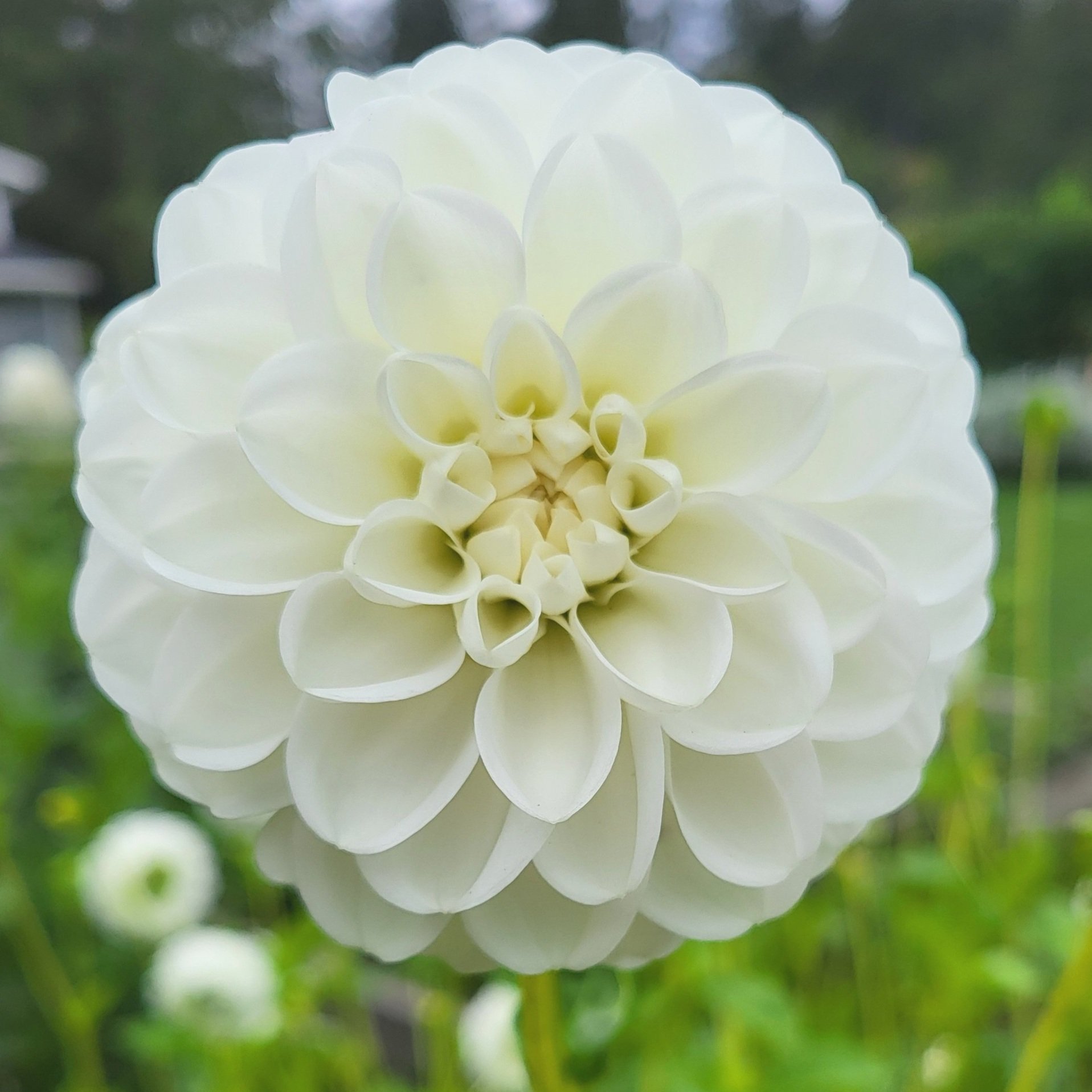 Orsett+Beauty+2.jpg