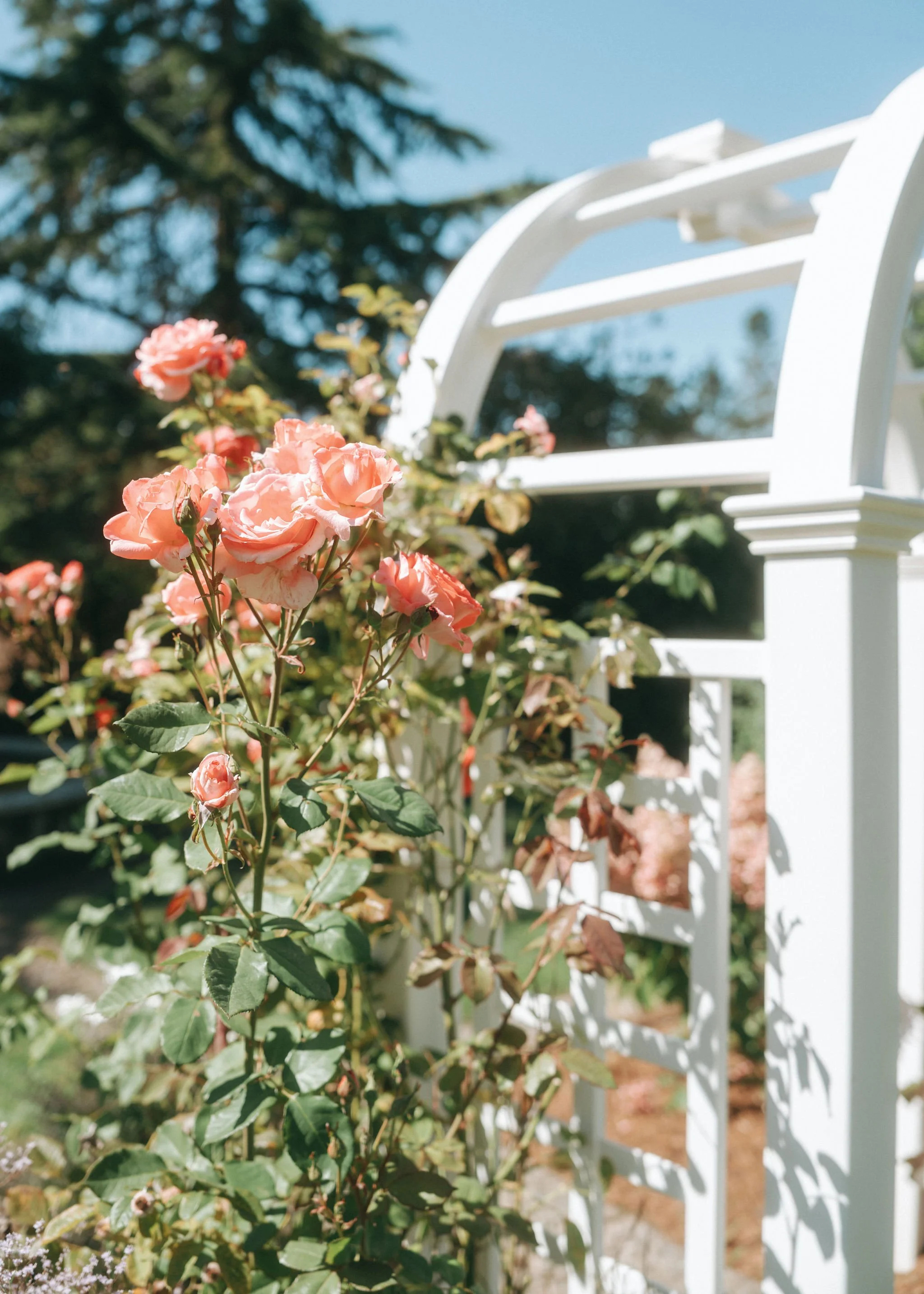 Robyn Paige Photography