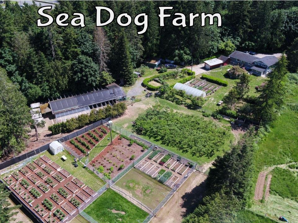 drone photo.jpg
