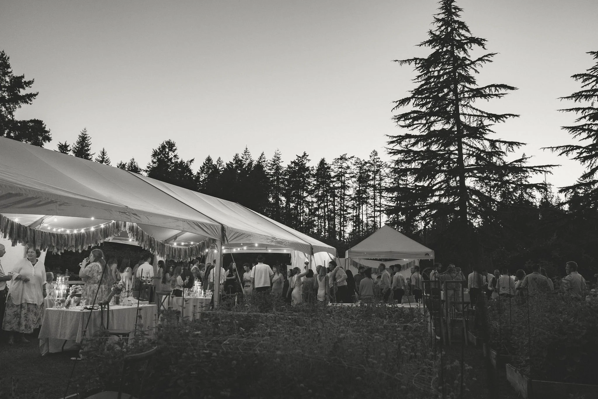 Robyn Paige Photography