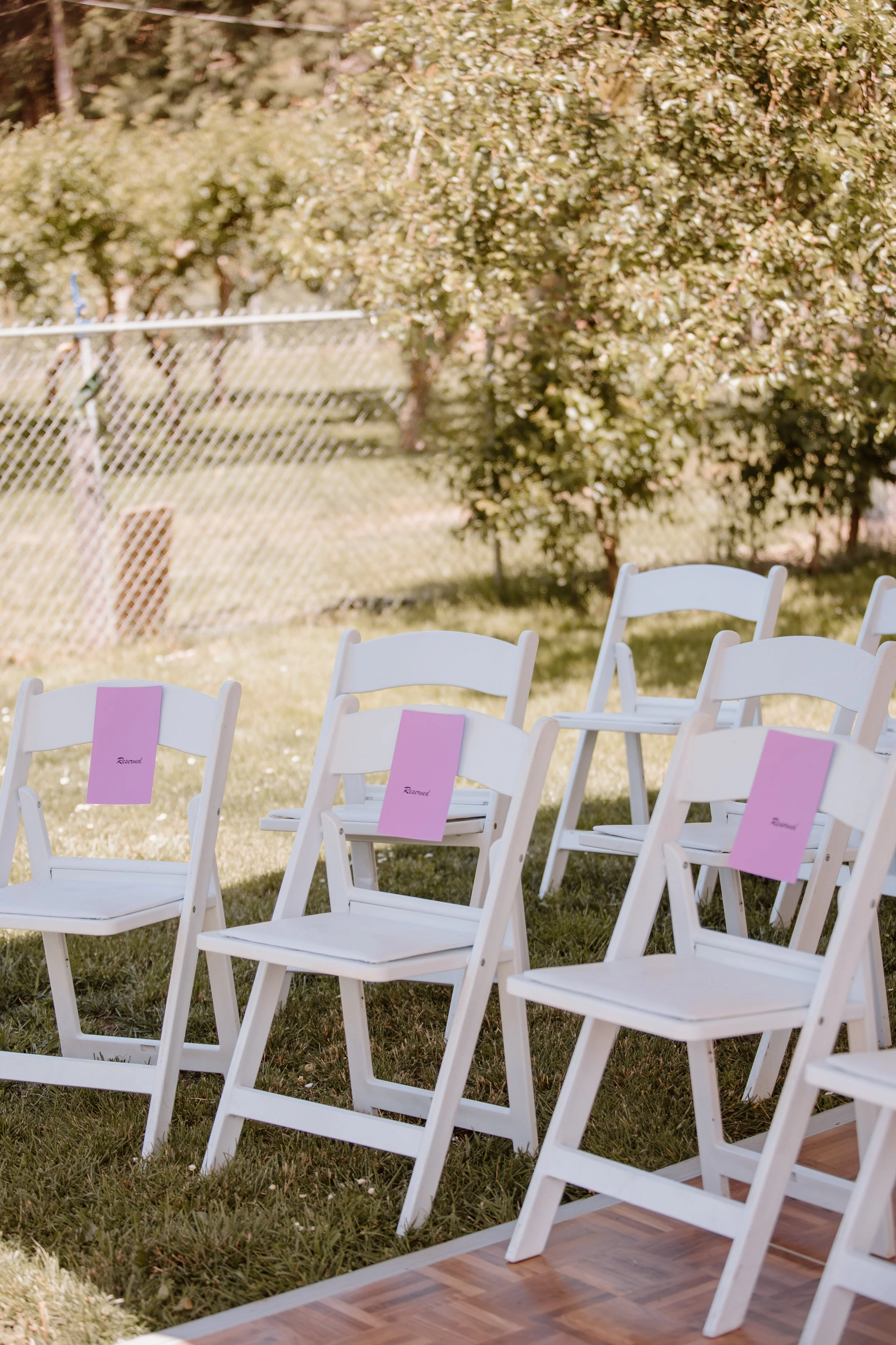  Chelsea Warren Photography