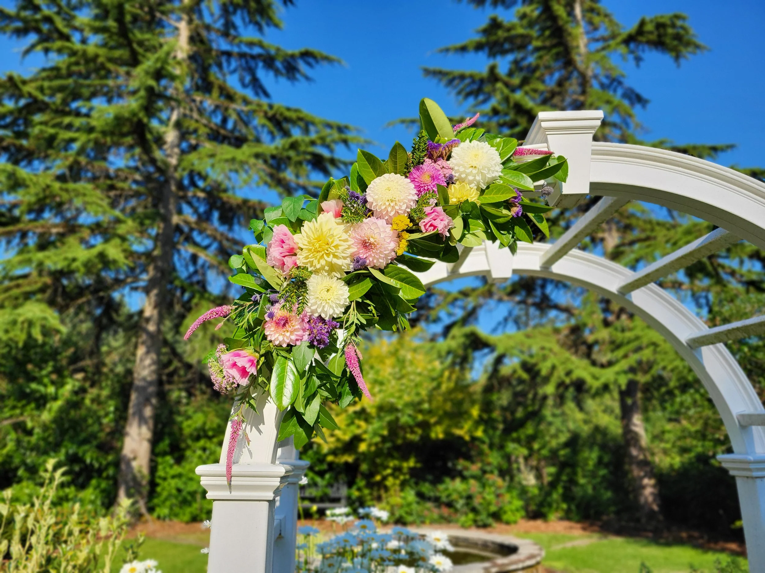 Flowers by Sea Dog Farm