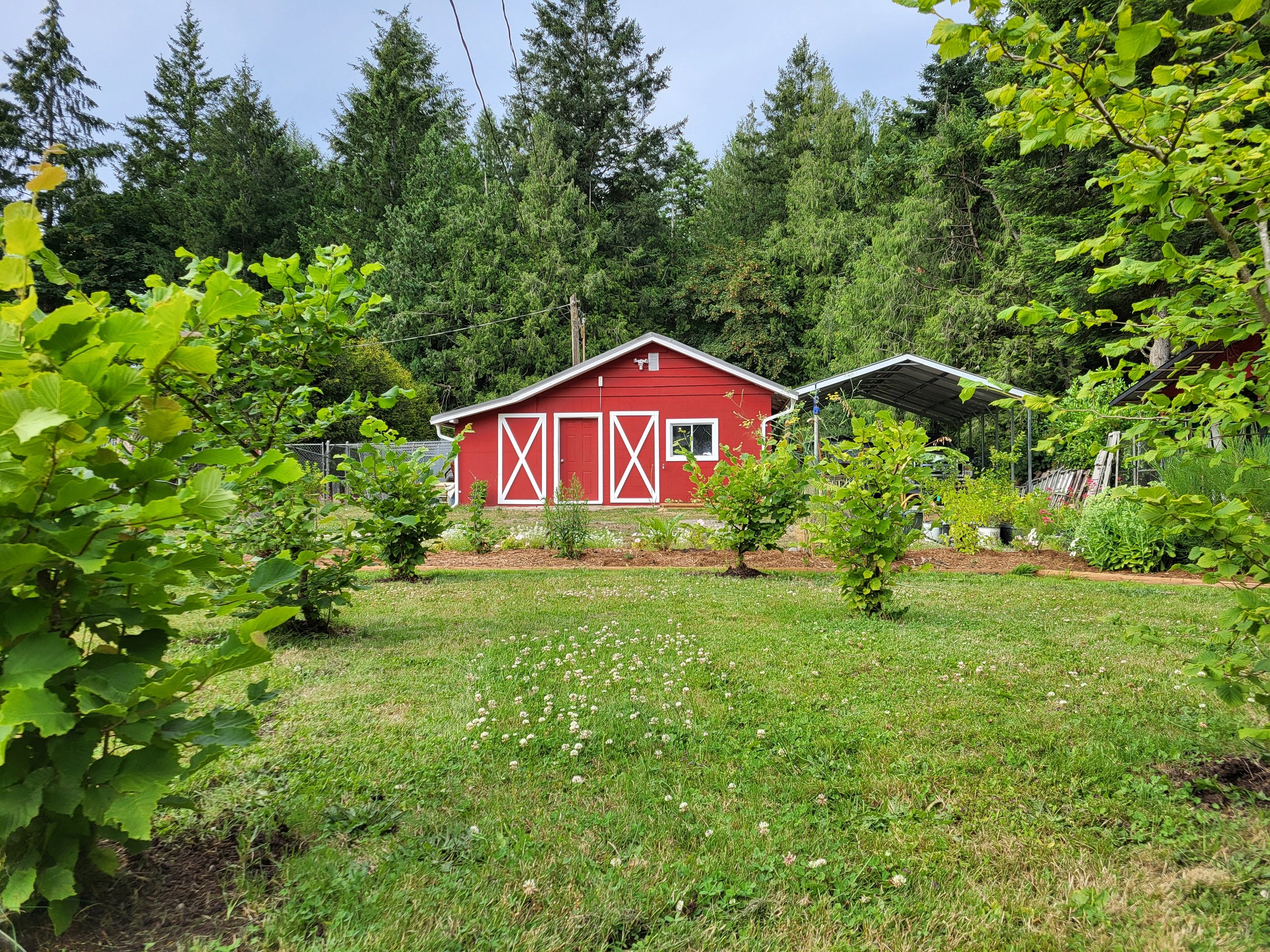 The barn at Sea Dog Farm