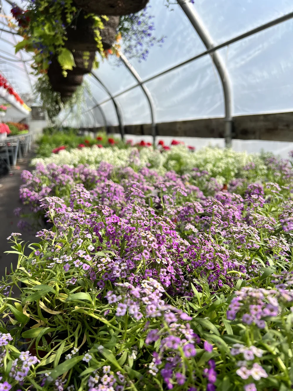 Garden Centre & Landscape Supplies — Gold Coast Landscaping