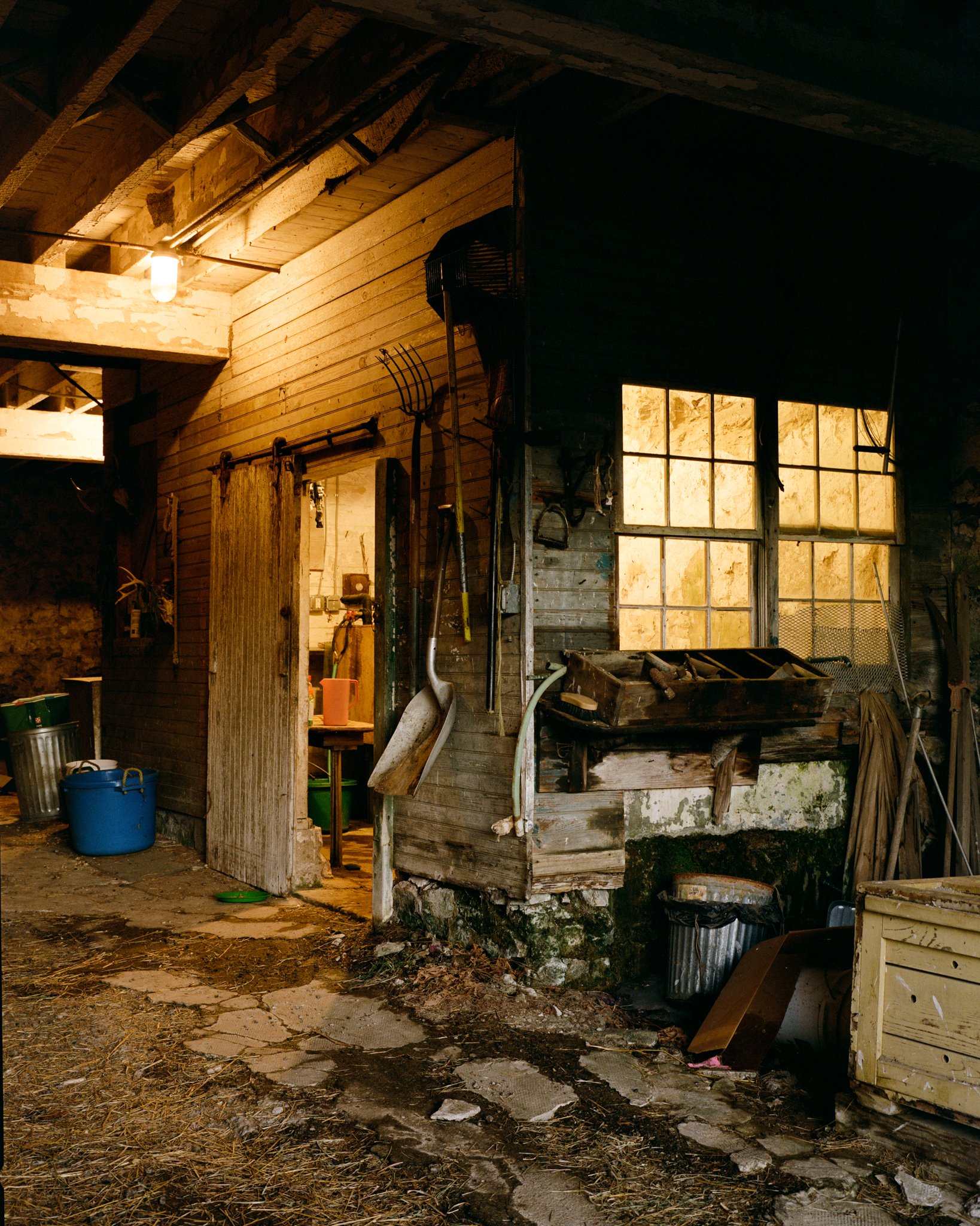 04.jpg