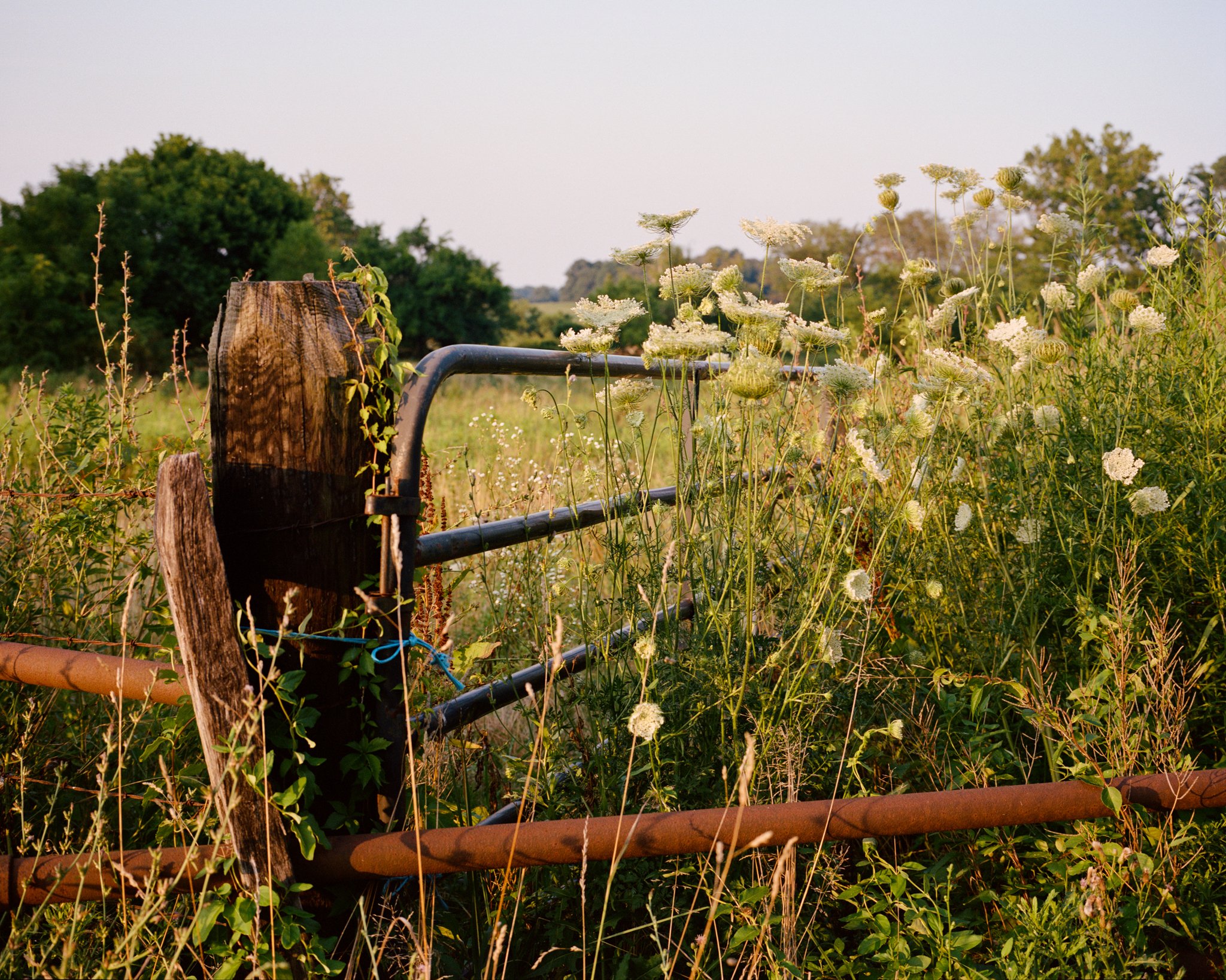 Summer-End-09.jpg