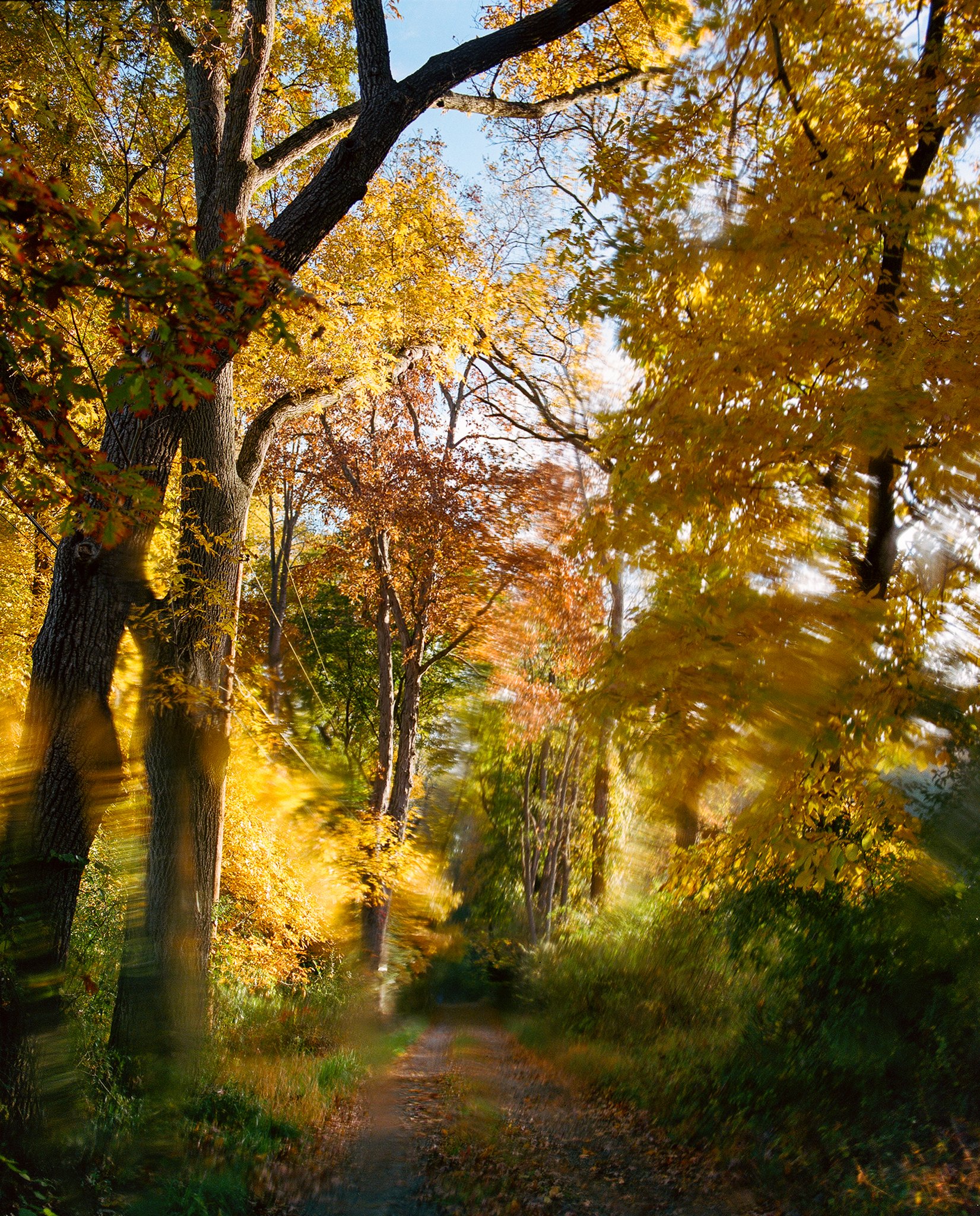 Worn-Path-7.jpg