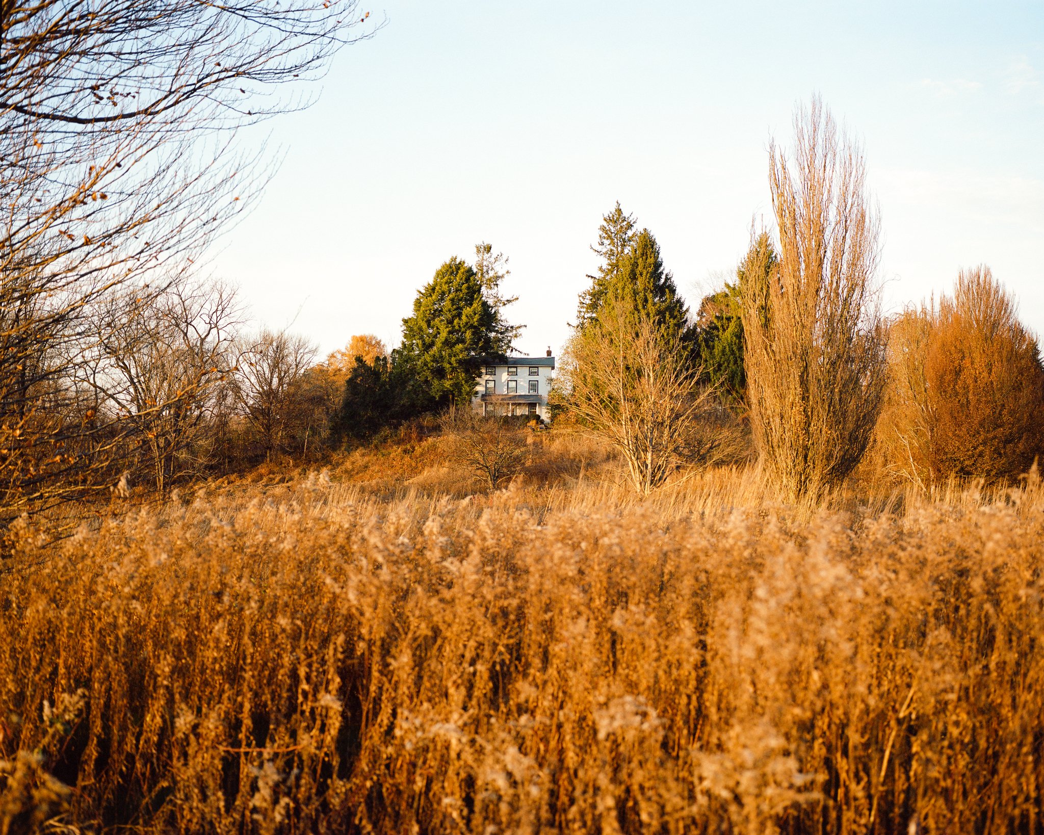 Worn-Path-14.jpg