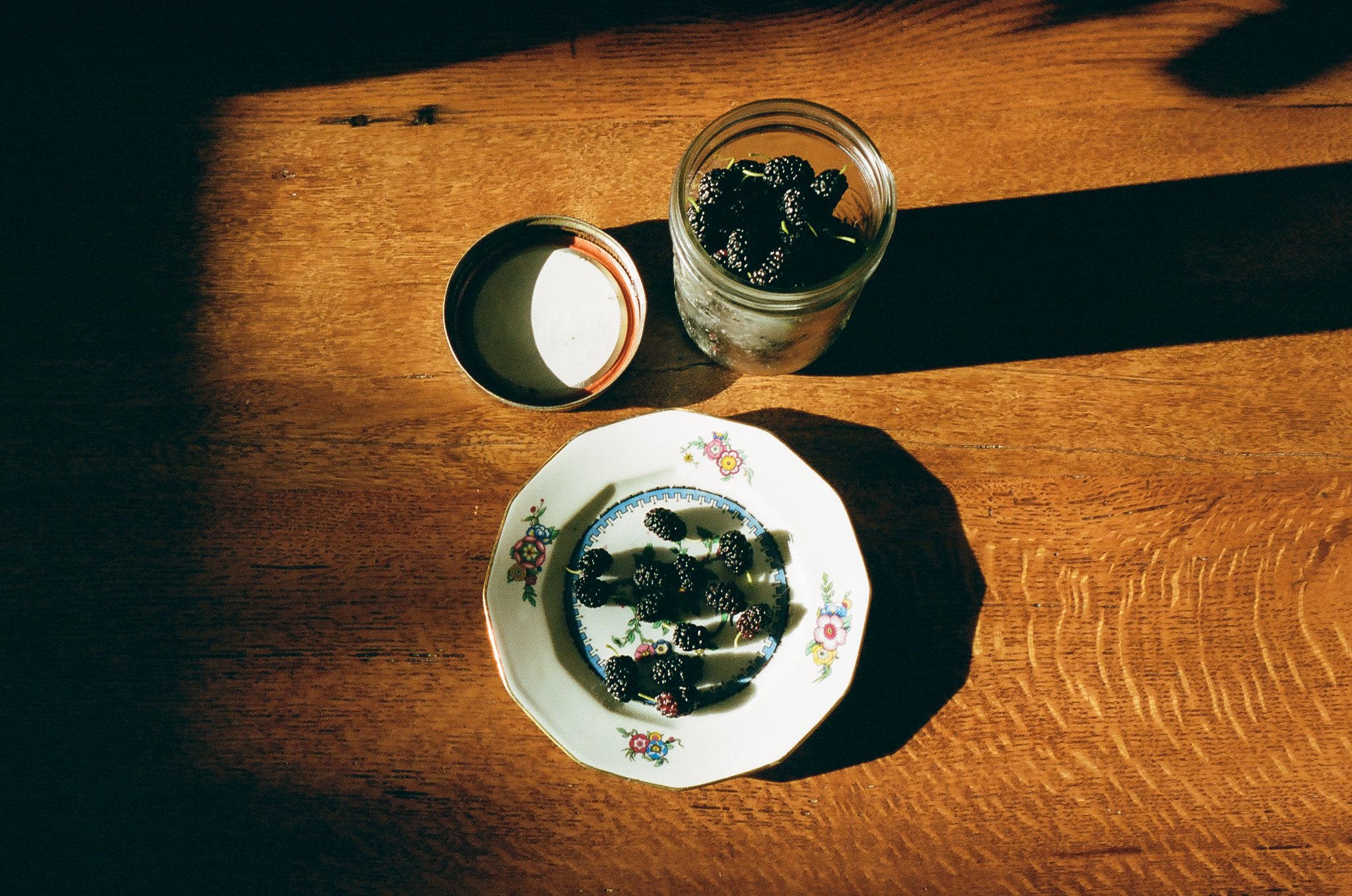 Foraged-Berries.jpg