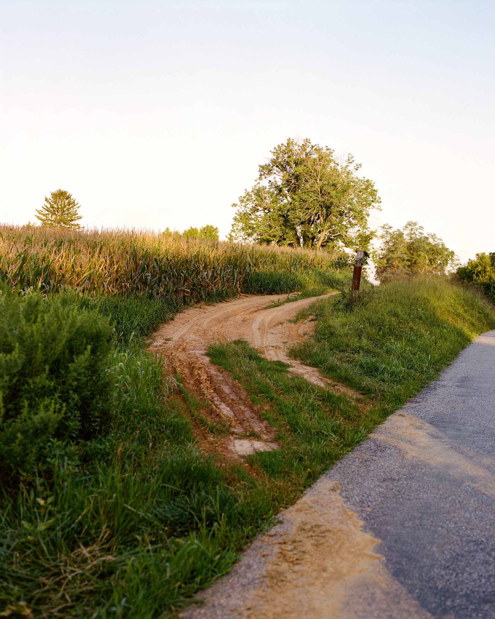 Summer-End-08.jpg