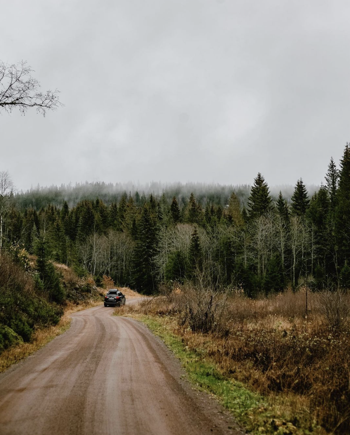 Screenshot 2024-09-07 at 13.08.05.png