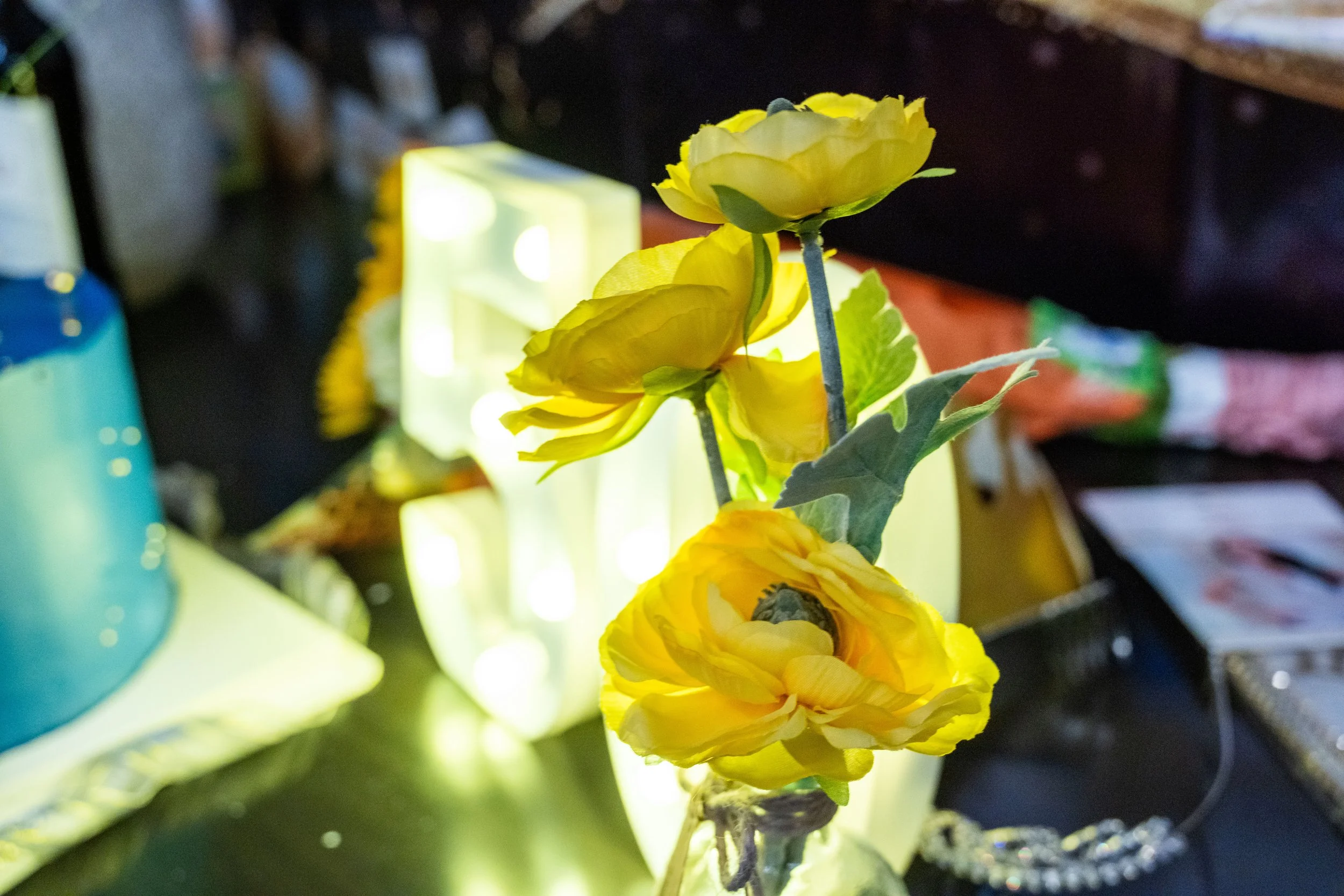 DSC_8412.jpg