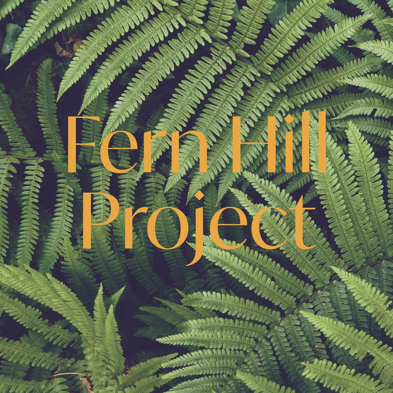 Fern Hill Project