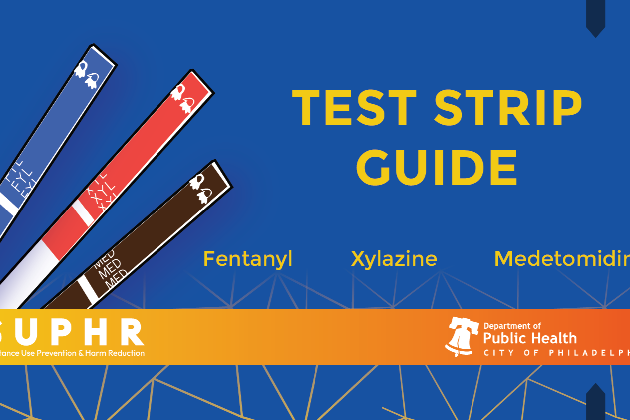 Test strip guide