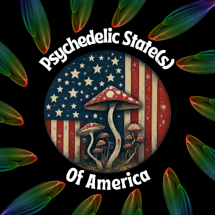PSA logo 2.1 Cover Photo.png