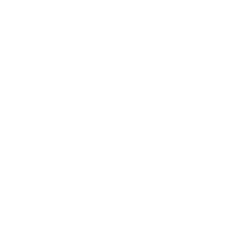 Analog Noir Effects Logo