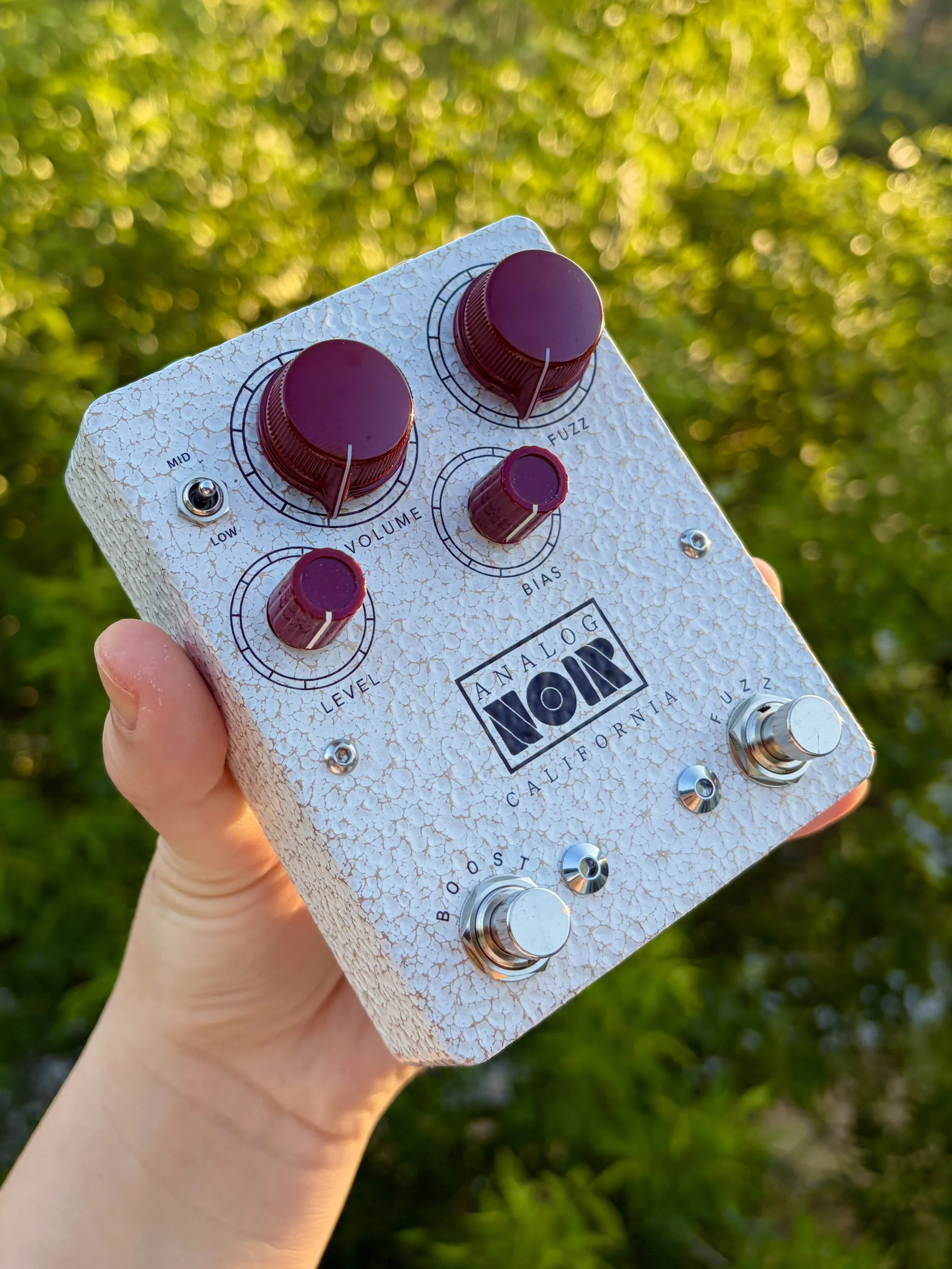 Fuzz Face / Rangemaster Treble Booster