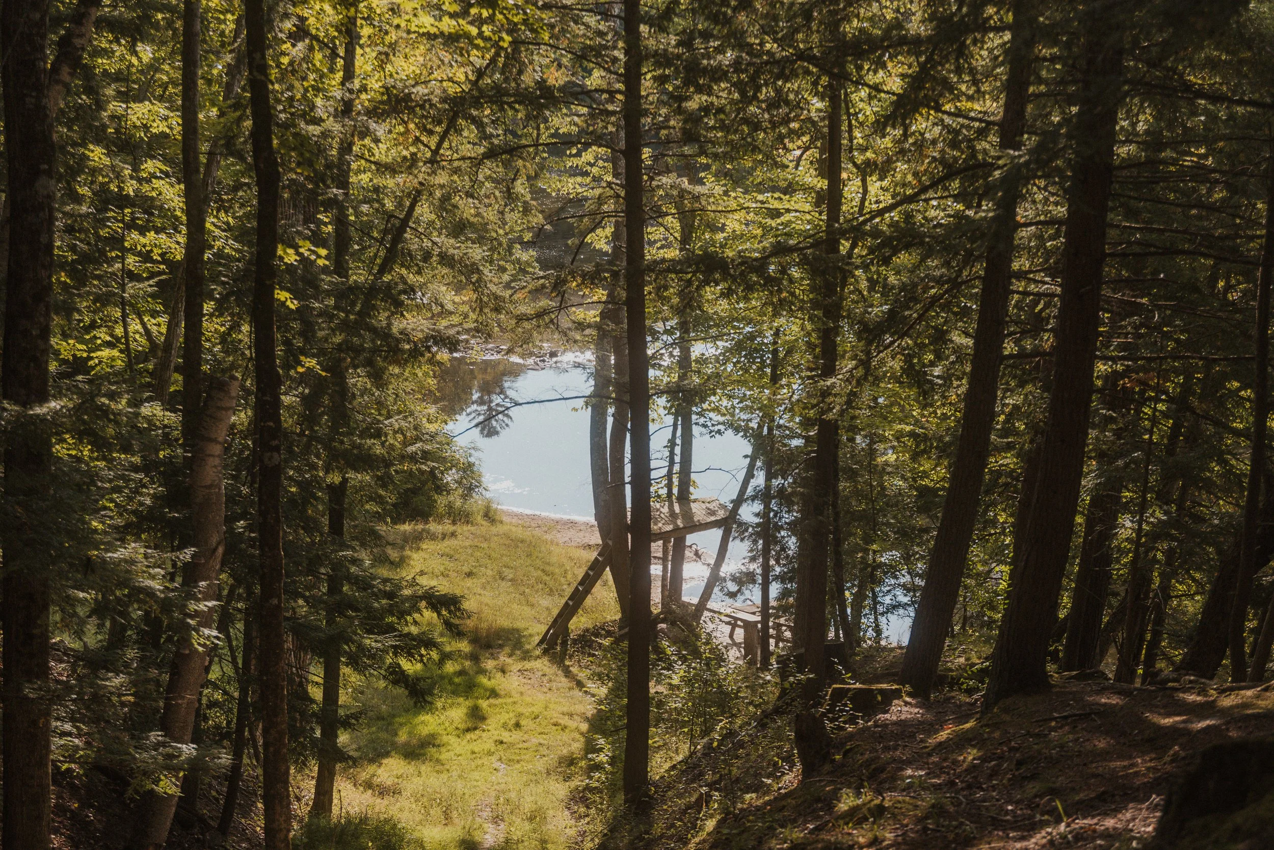 R5__8518.JPG