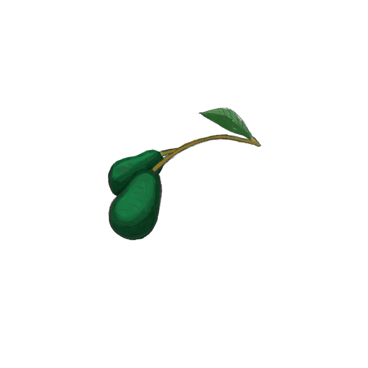 Avocado Branch.png