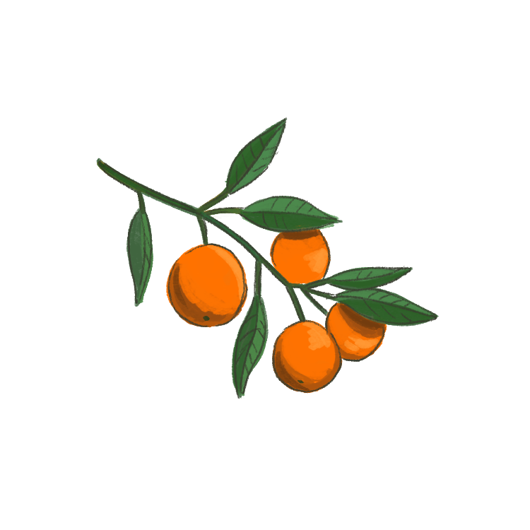 Orange Branch01.png