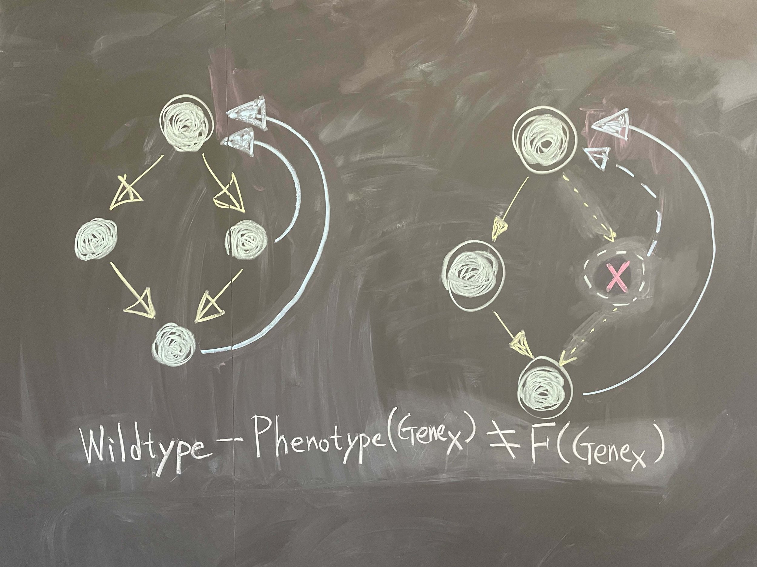 Causal inference when perturbations fail