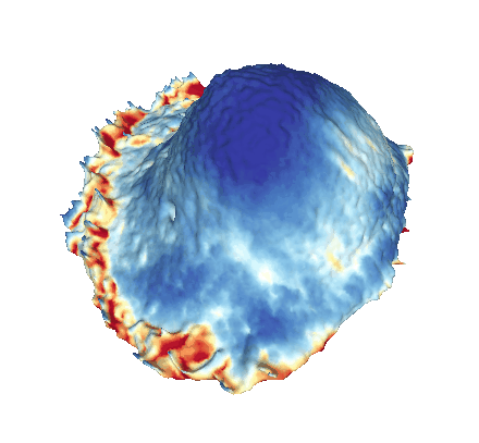Cell Morphological Regulation of Oncogenic Ras Signaling
