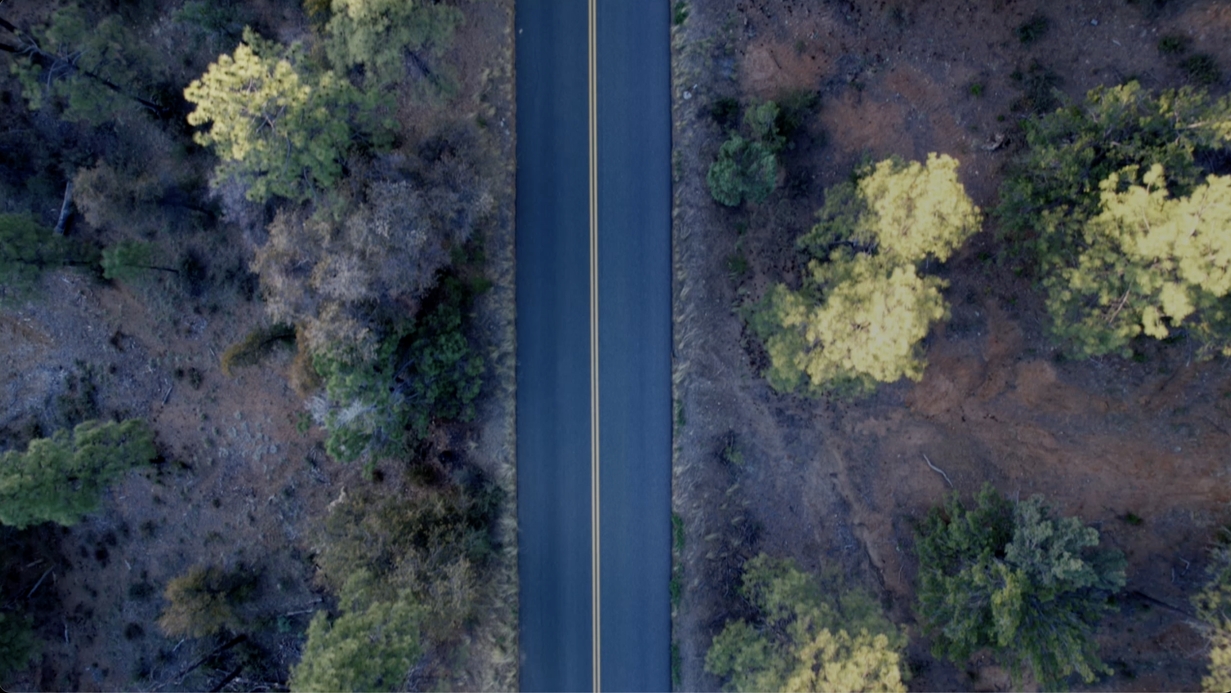 Your Lane