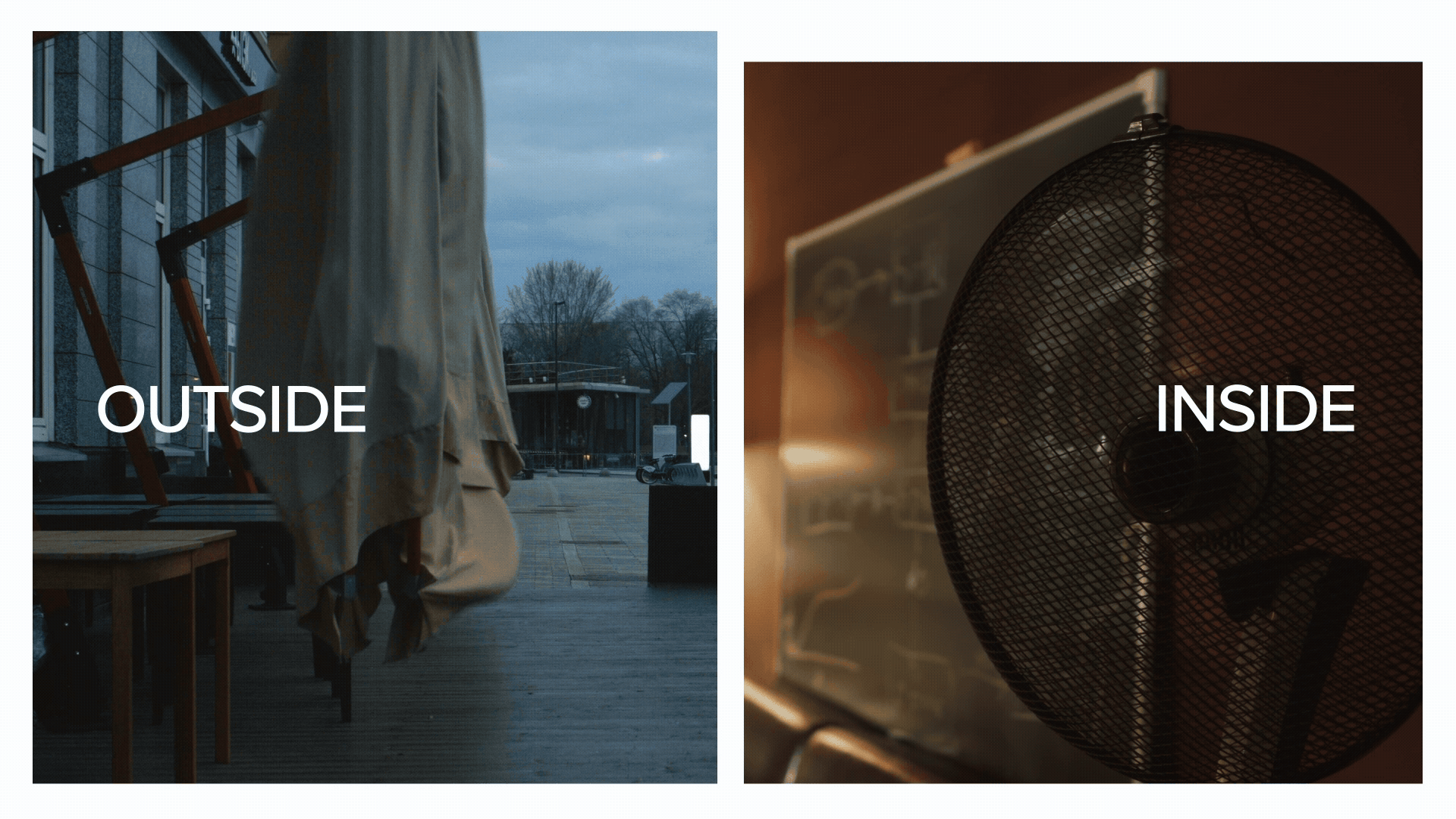 Winter Zap Infographic