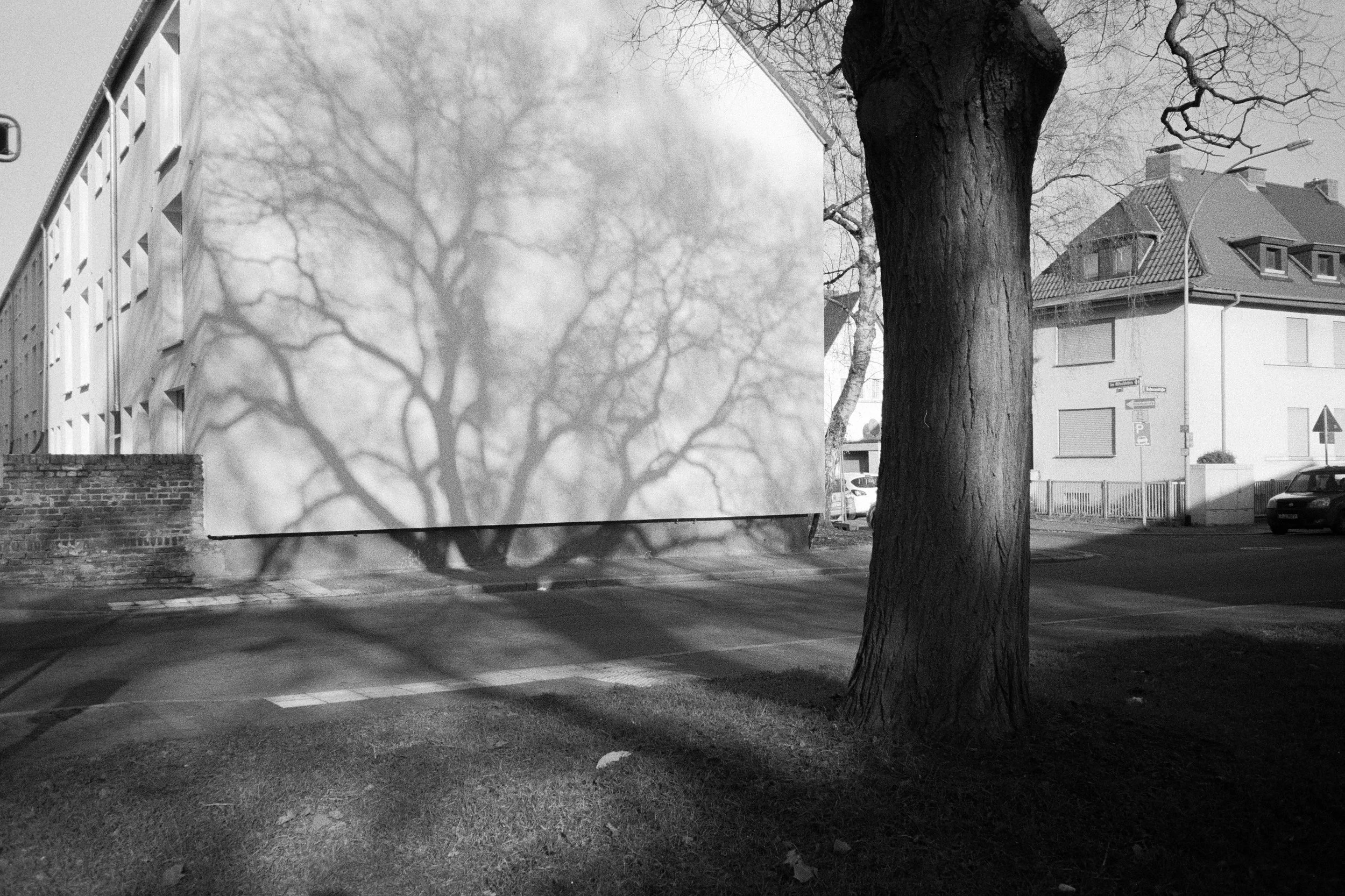 schatten.jpg