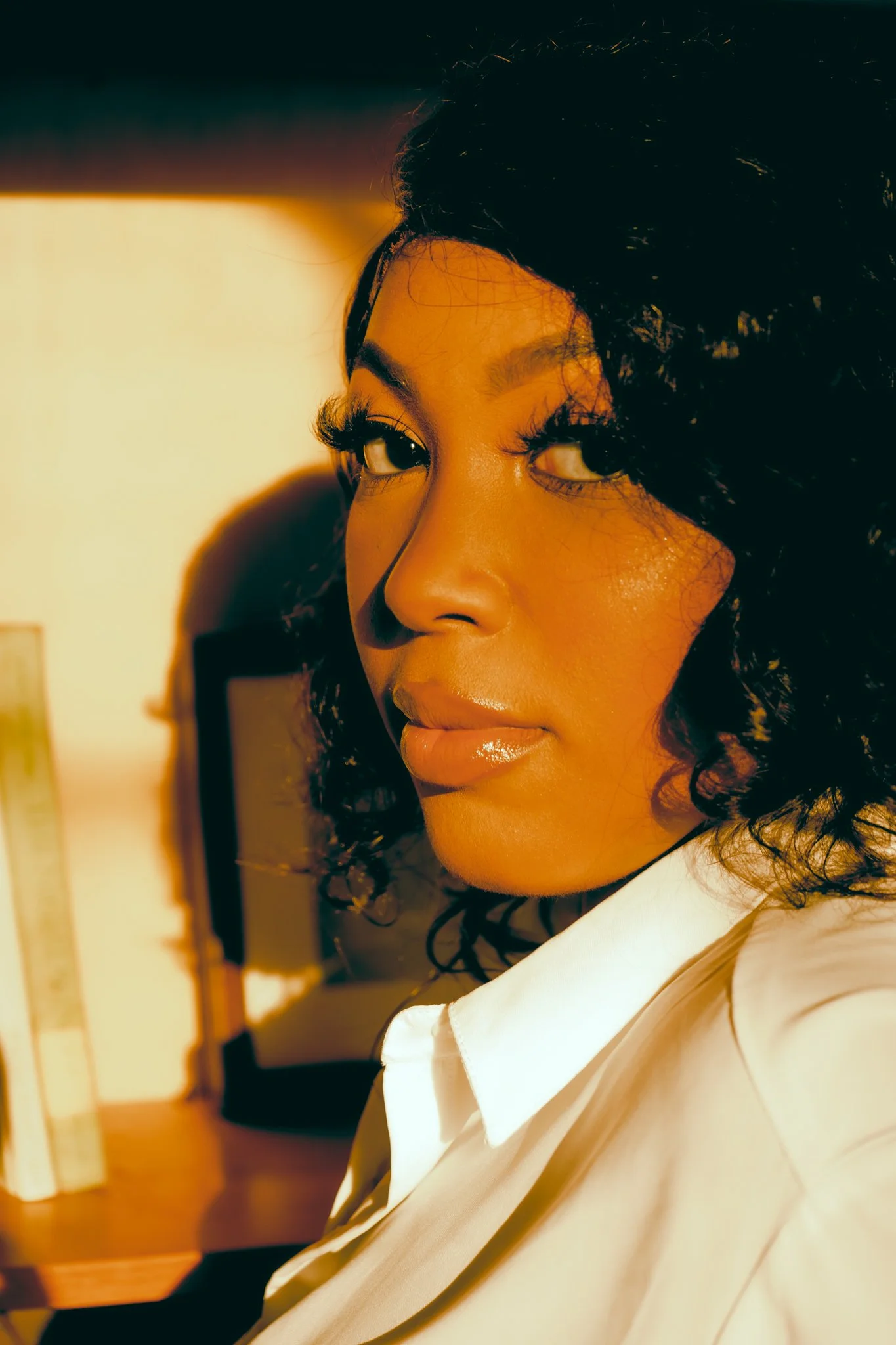 "Rendezvous"

featuring model Shaylah
shot by: Miles Bently
