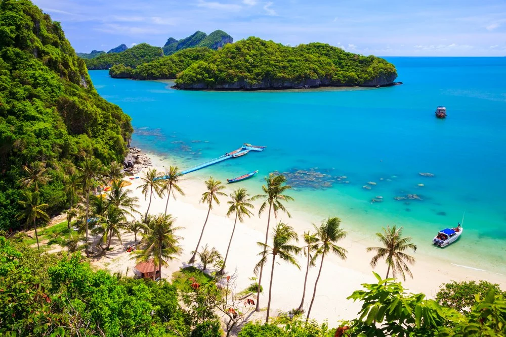 Samui Dating Bootcamp