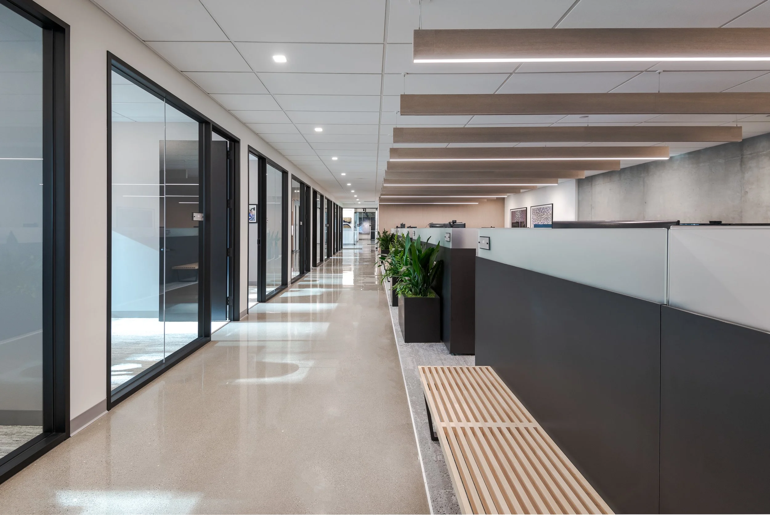 Focal Point Seem 1 Suspended, Seem 1 Acoustic Suspended & Focal Point ID+3.5 Recessed