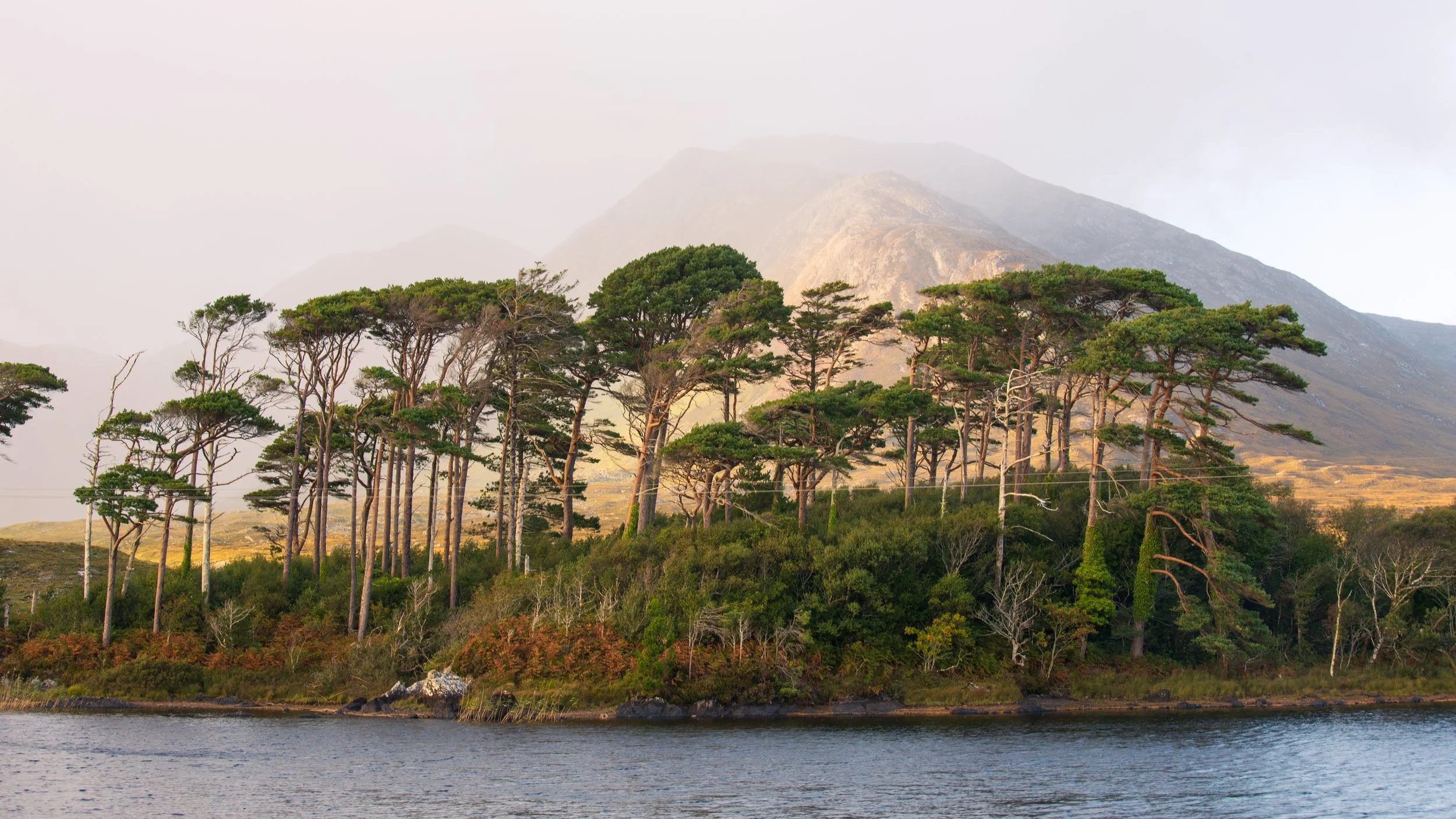 Pine Island_-12.jpg
