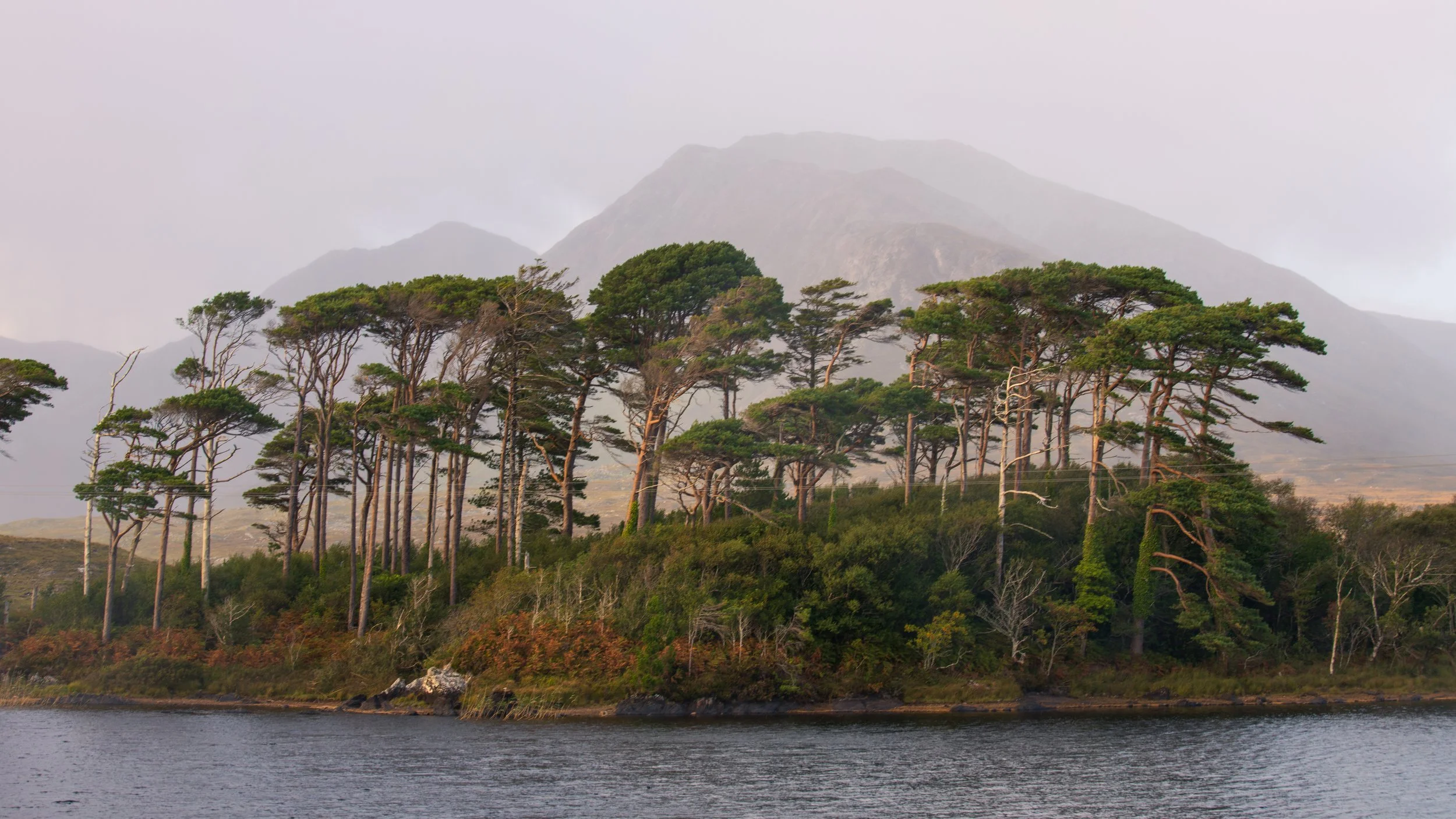 Pine Island_-14.jpg