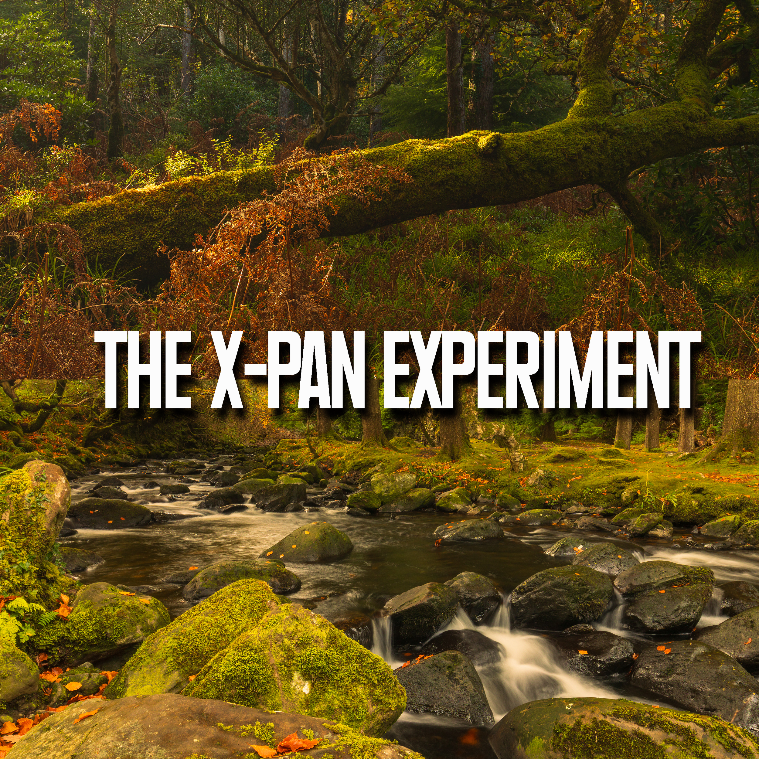 Could the XPan Crop Change How You See Landscapes?