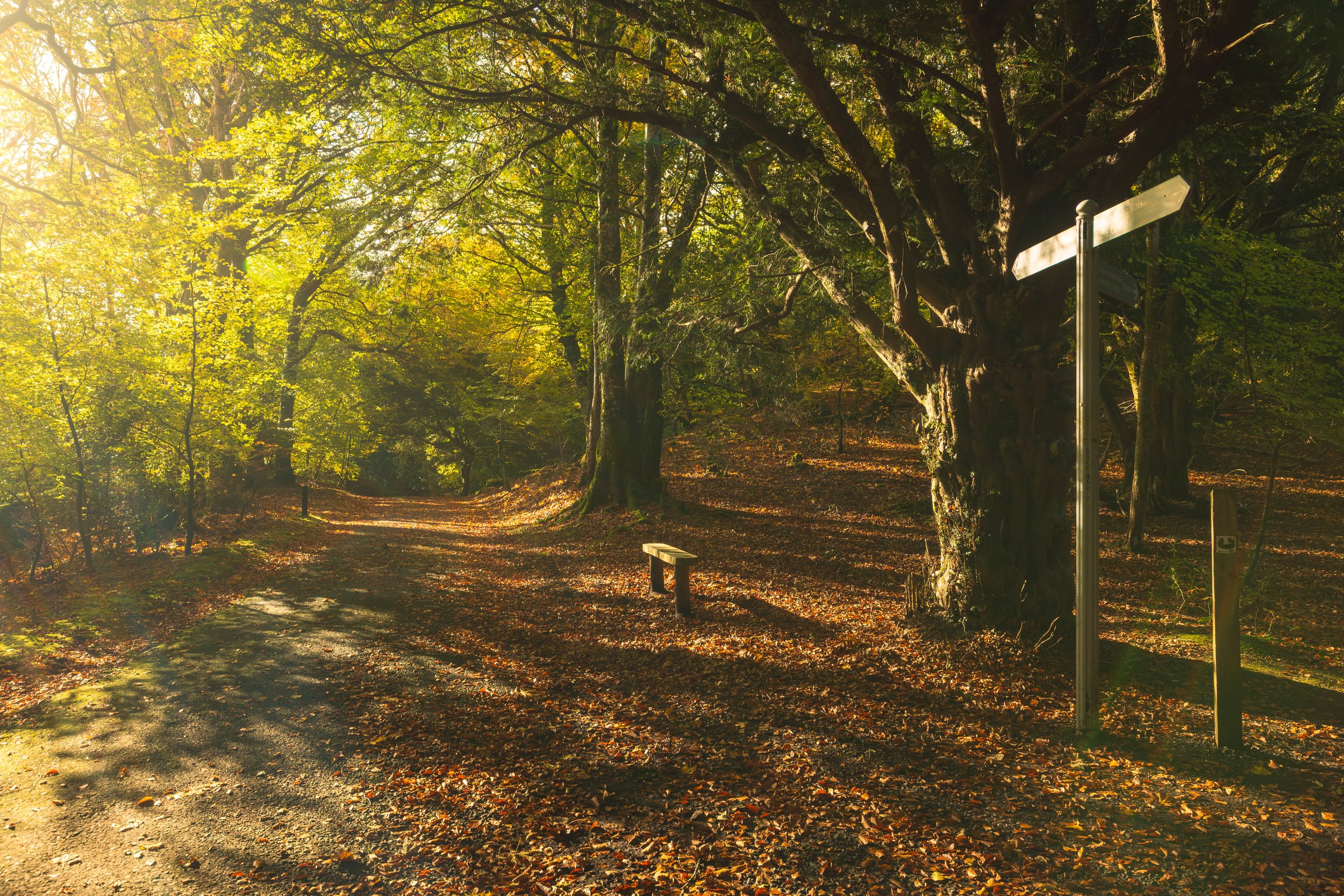 ross island-6.jpg