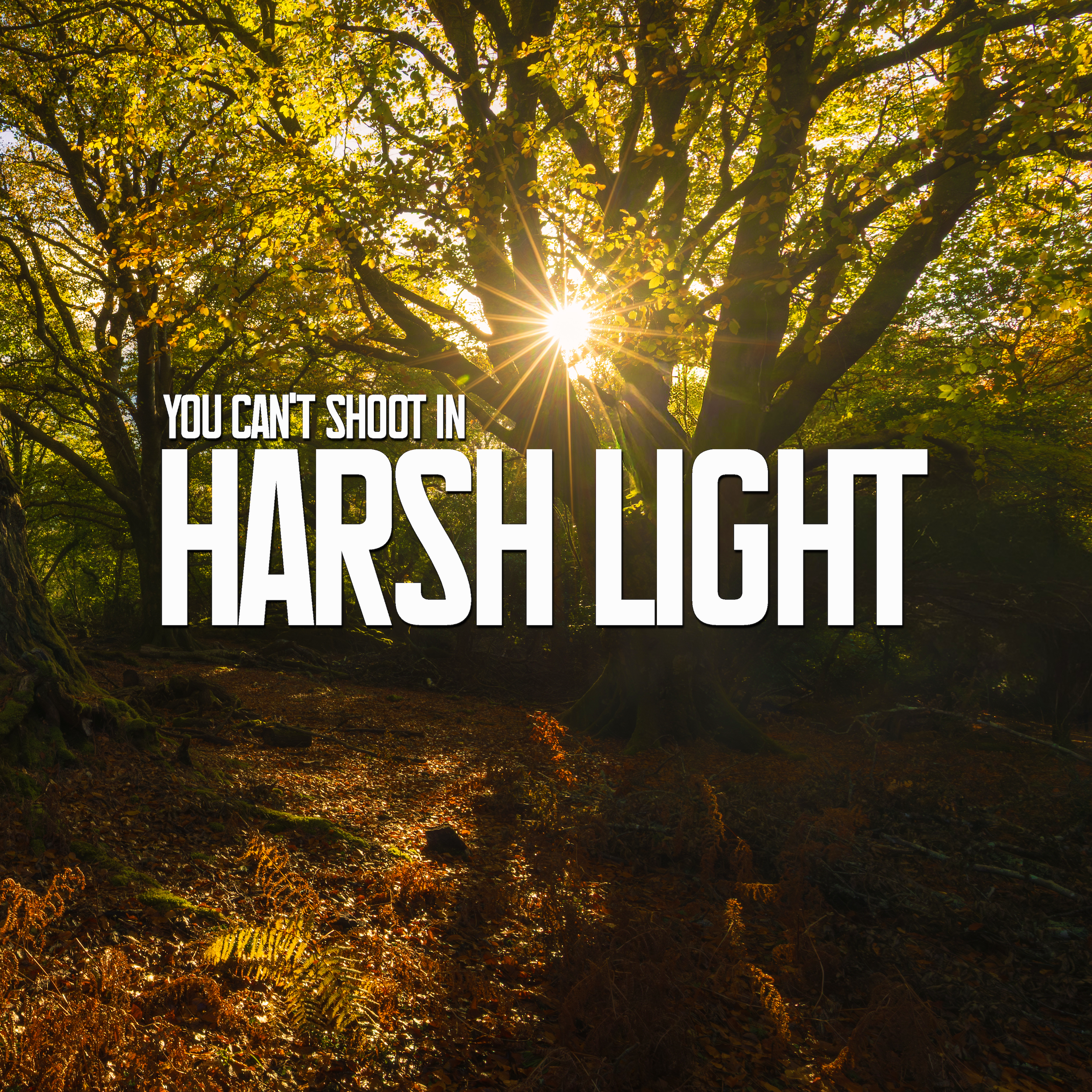 Everyone Avoids Midday Light — I Shot Anyway (Here’s What Happened)