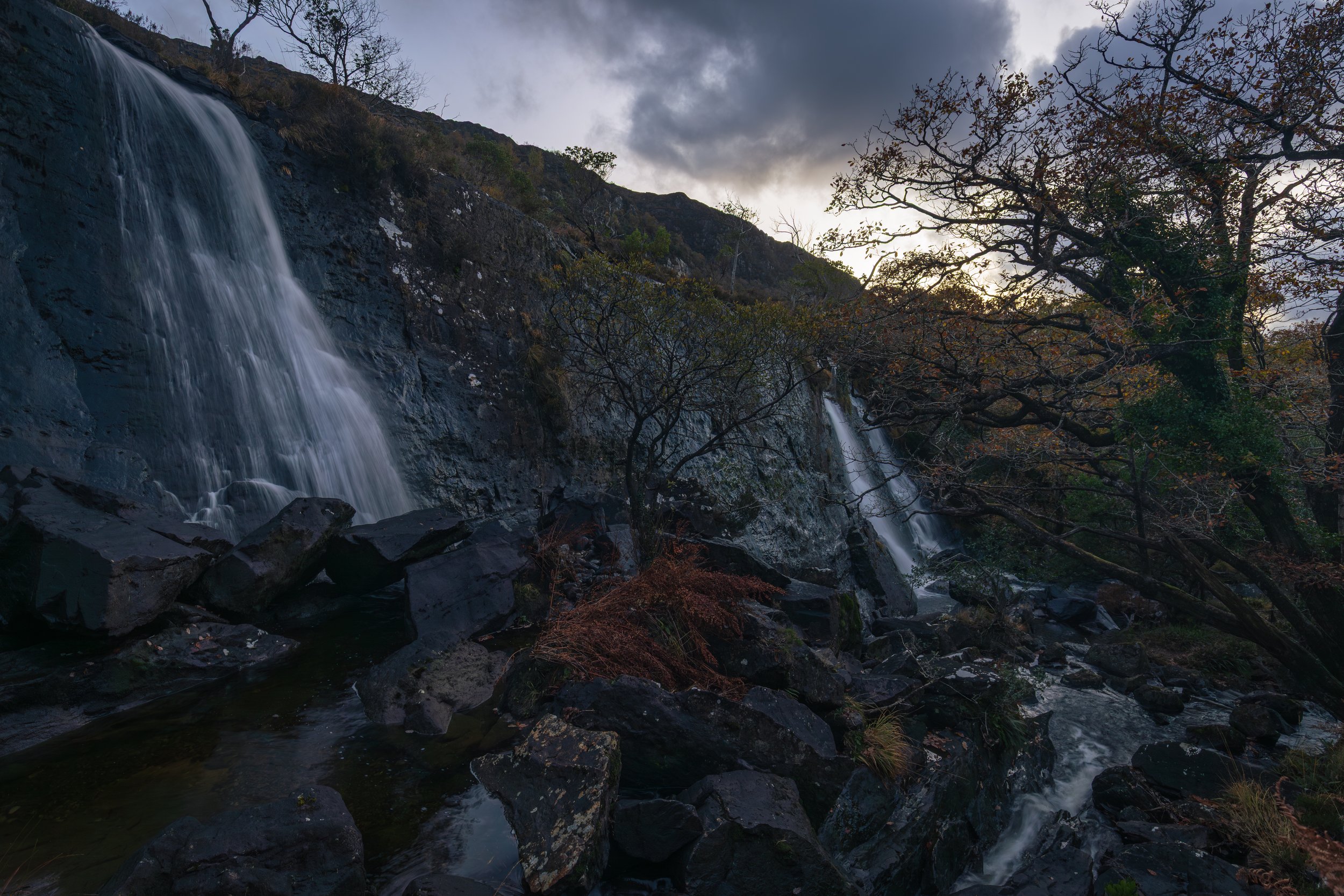 tower wood-21.jpg
