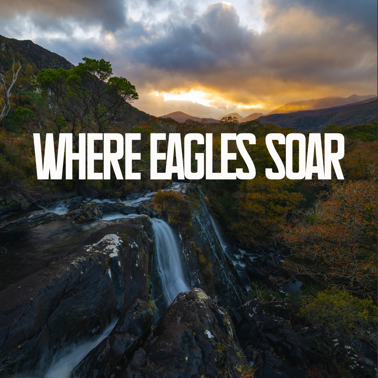 where eagles soar