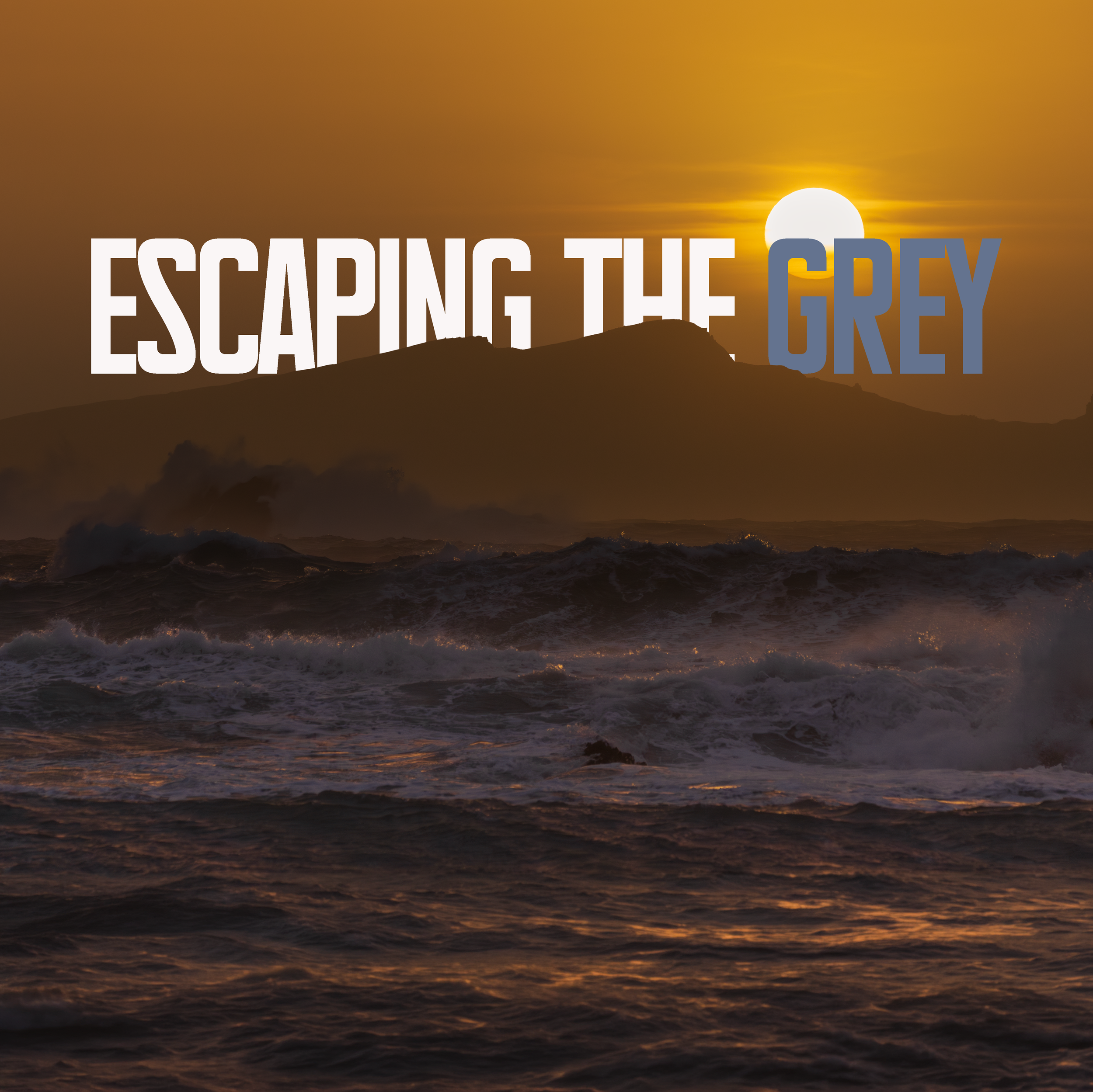 I Gambled on 10% Light… This Happened