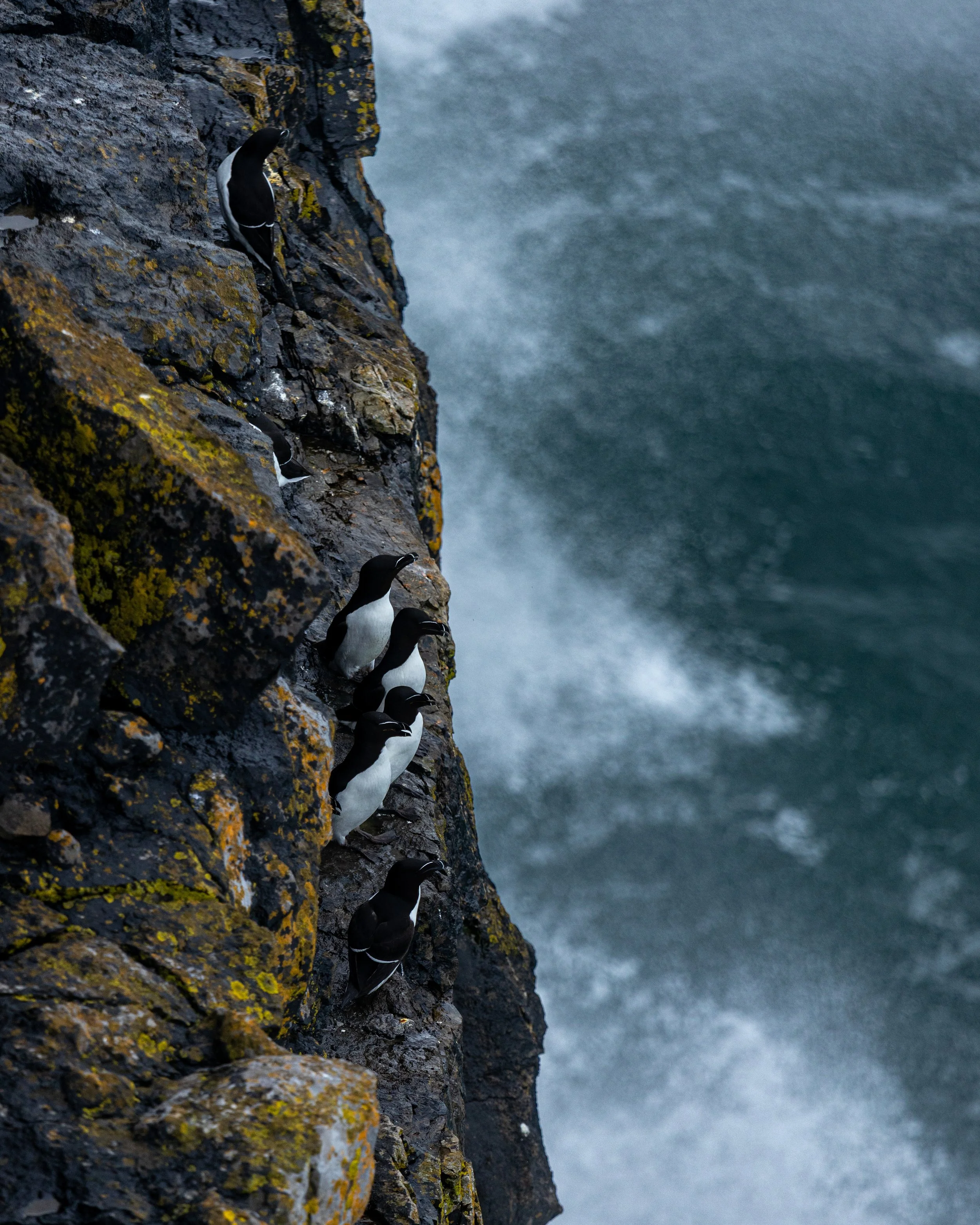 CLIFFS OF ACHILL -25.jpg