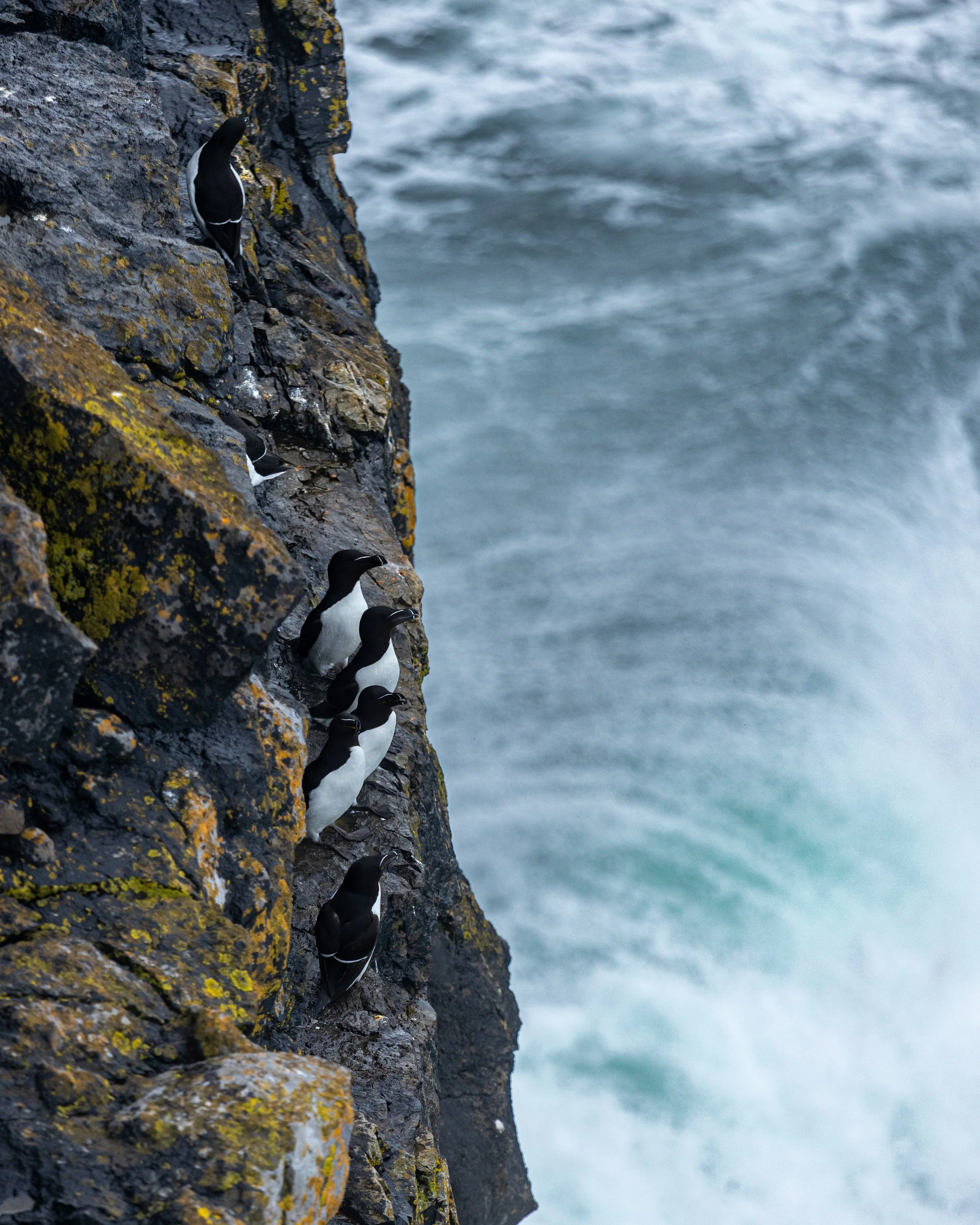 CLIFFS OF ACHILL -26.jpg