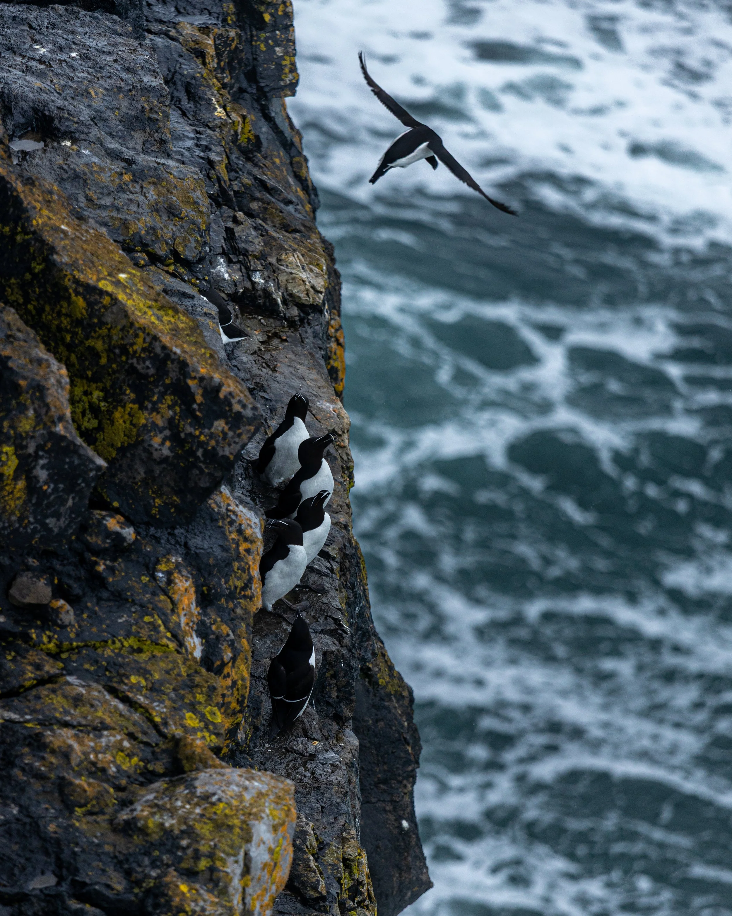 CLIFFS OF ACHILL -27.jpg