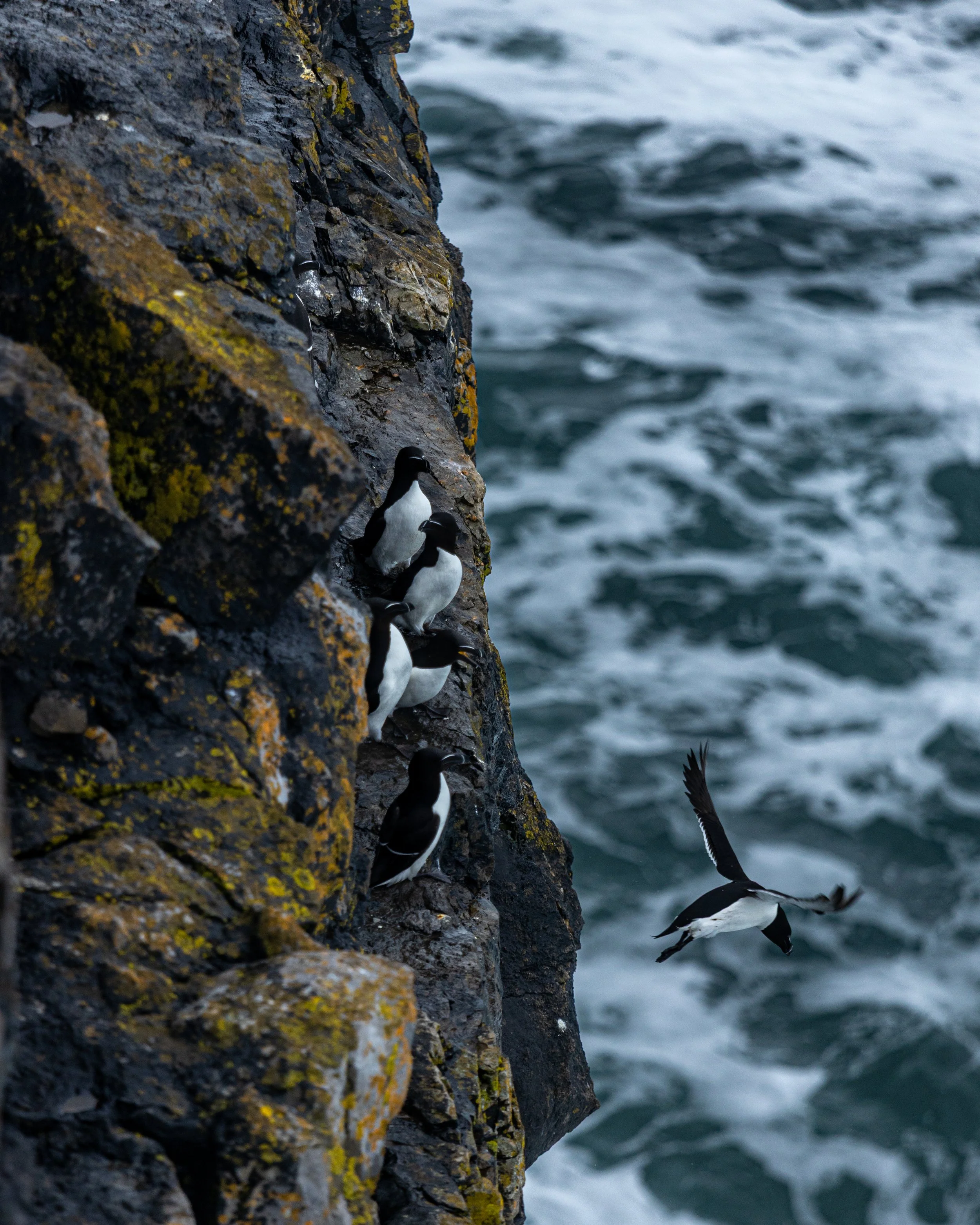 CLIFFS OF ACHILL -28.jpg
